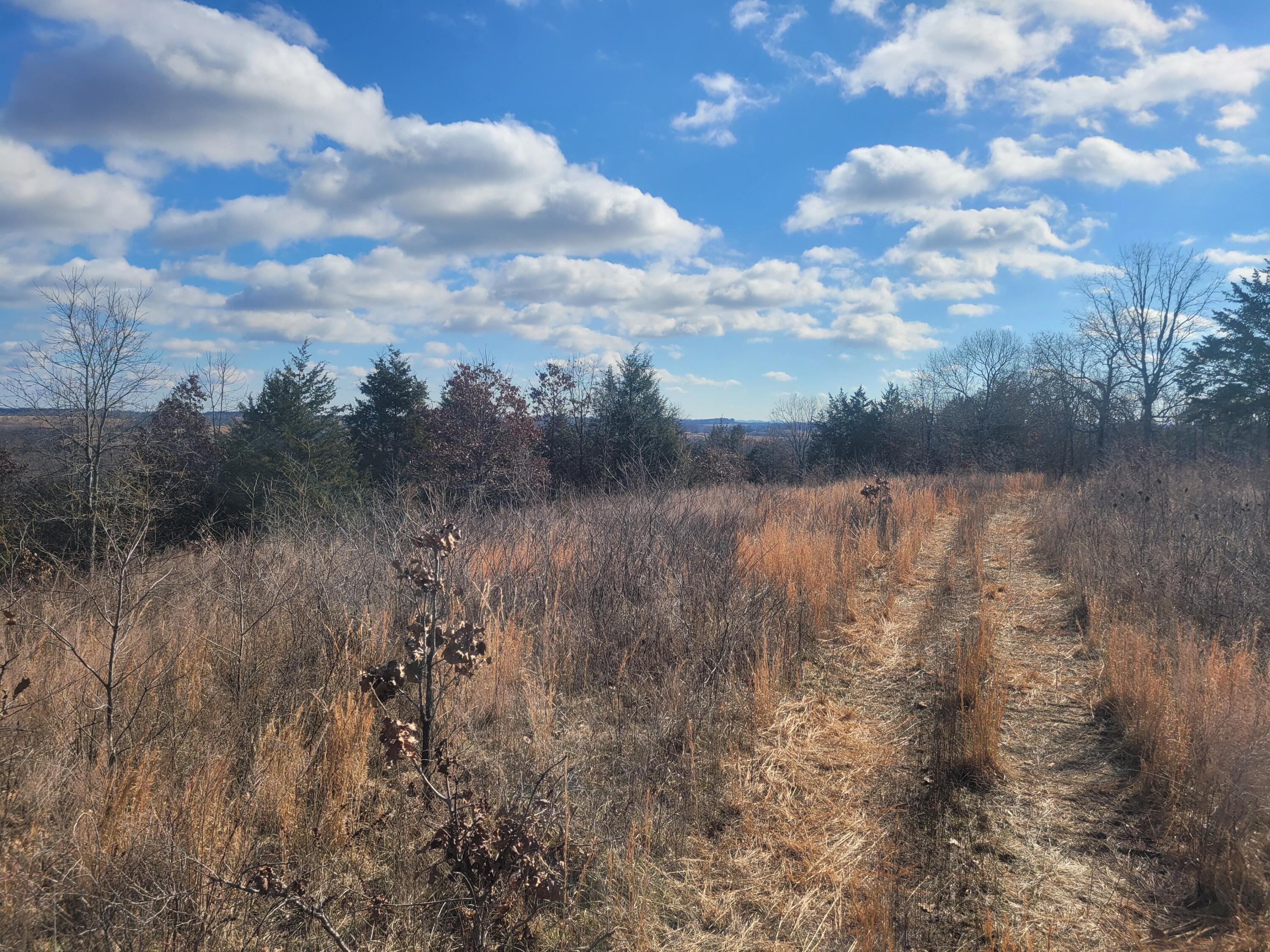 000 Hickory Flats Road Property Photo 18