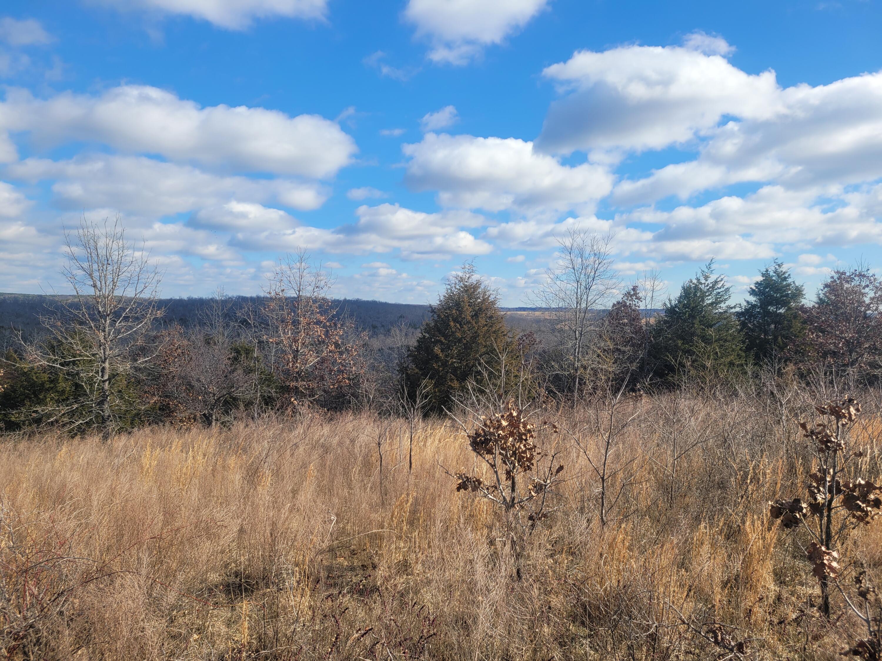 000 Hickory Flats Road Property Photo 19