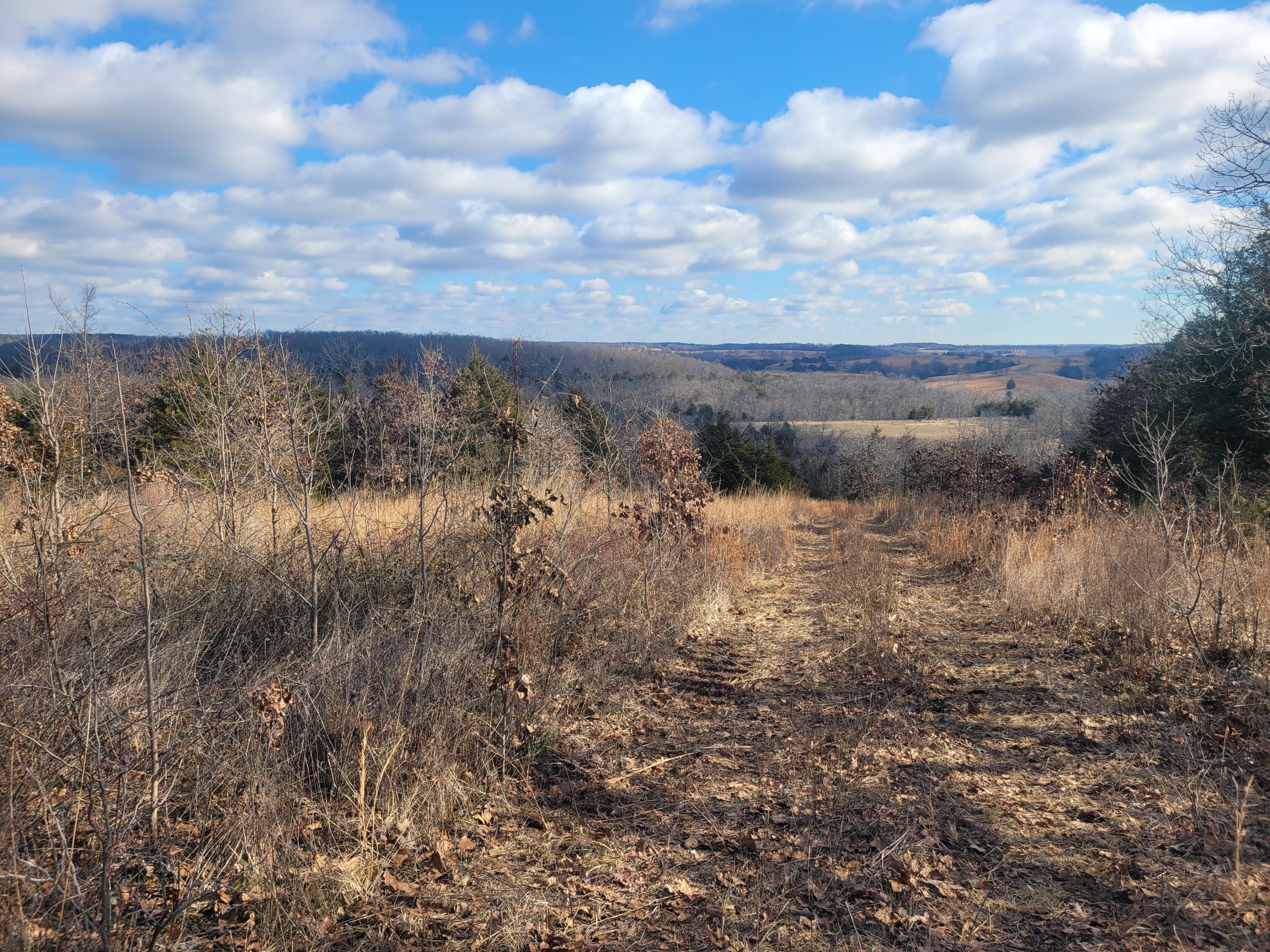 000 Hickory Flats Road Property Photo 20