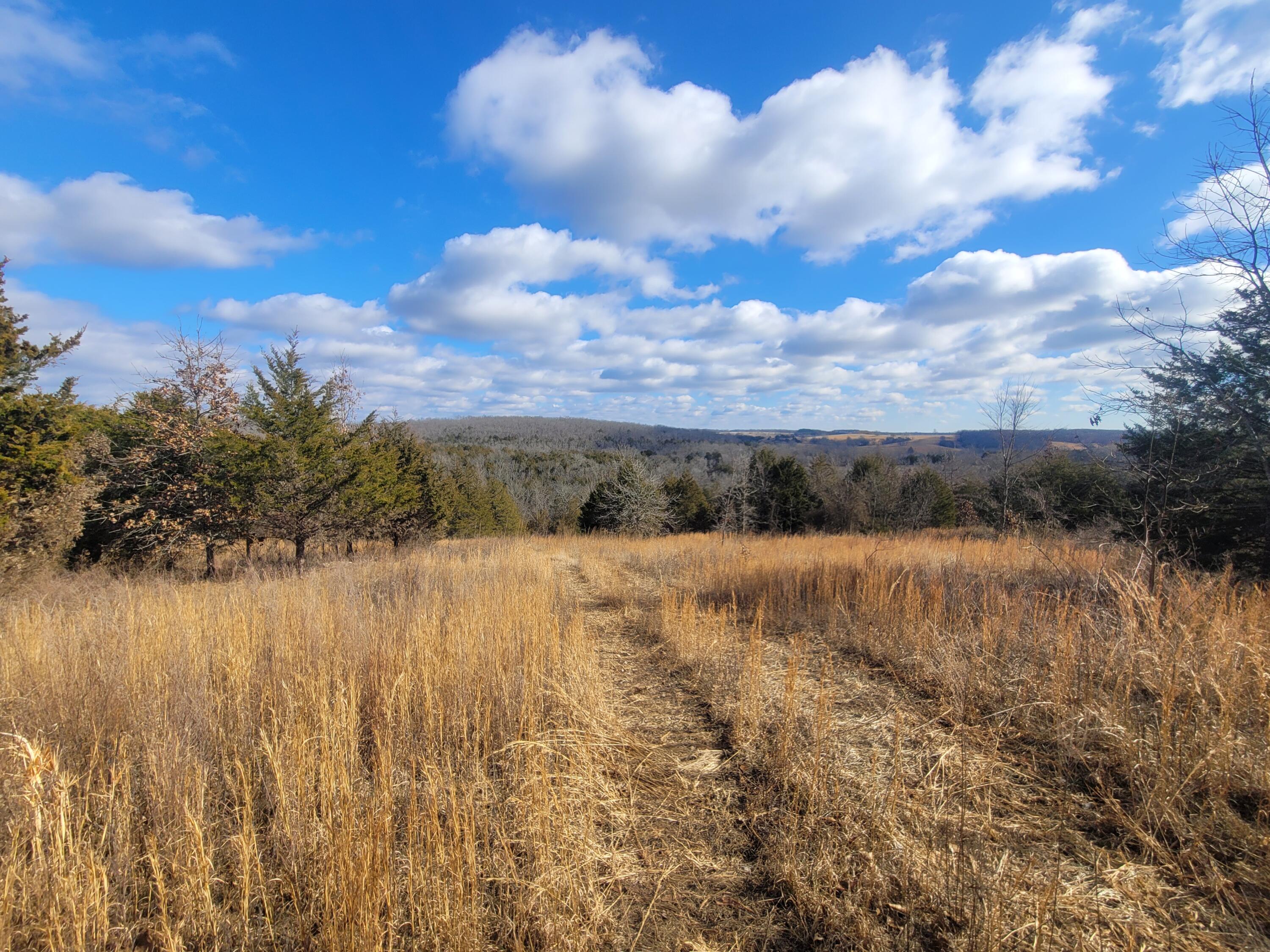 000 Hickory Flats Road Property Photo 21