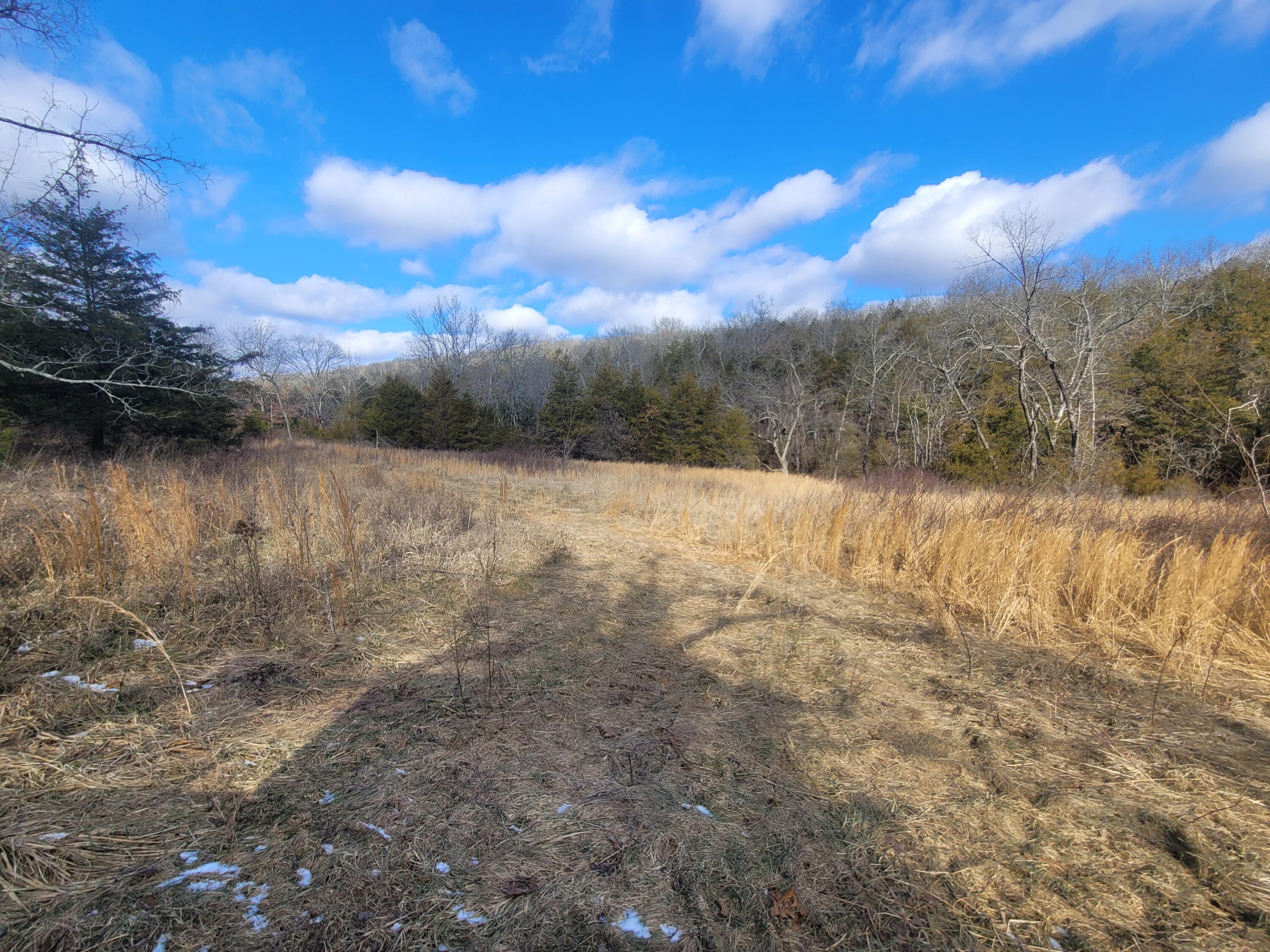 000 Hickory Flats Road Property Photo 22