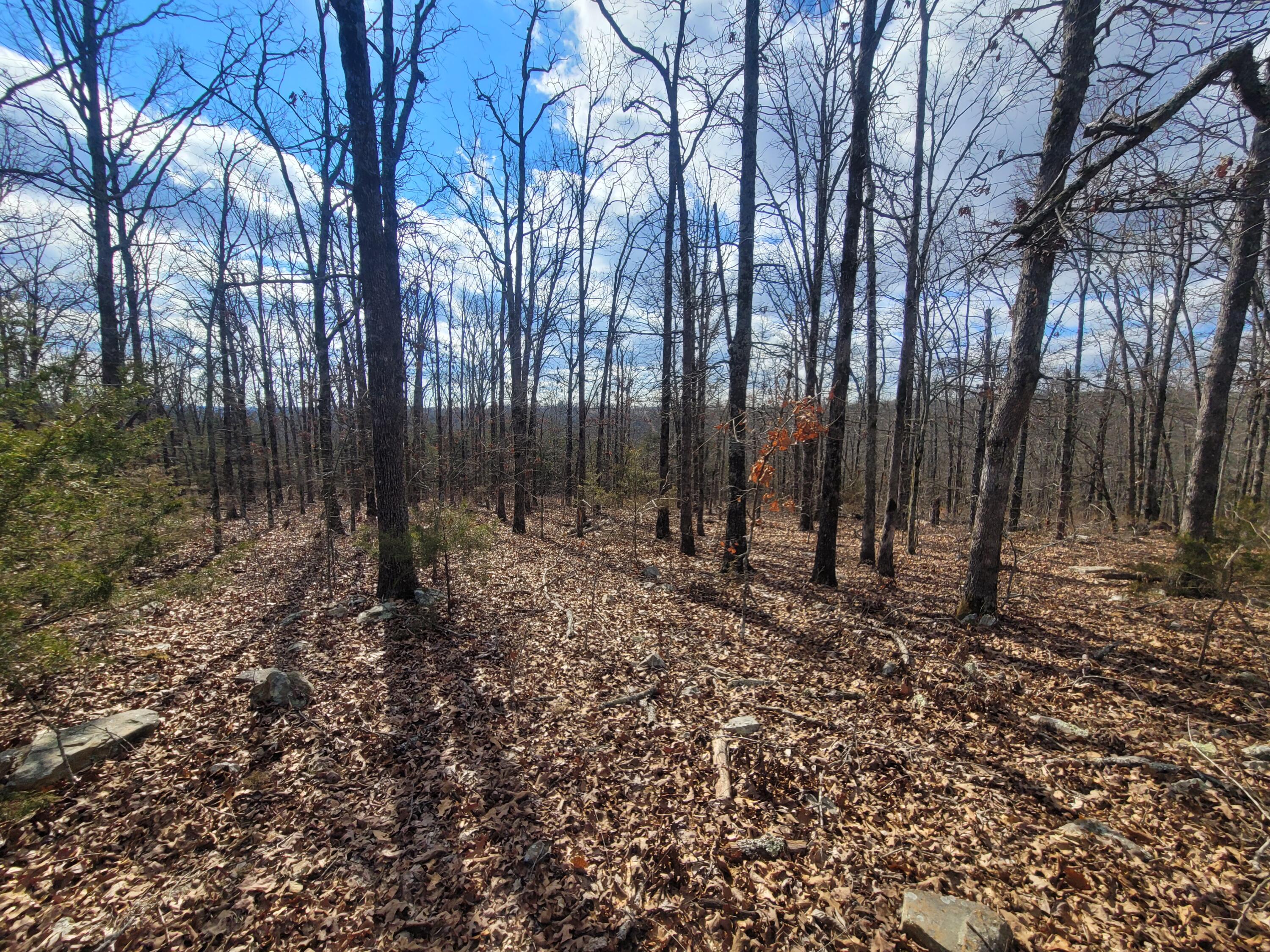 000 Hickory Flats Road Property Photo 23