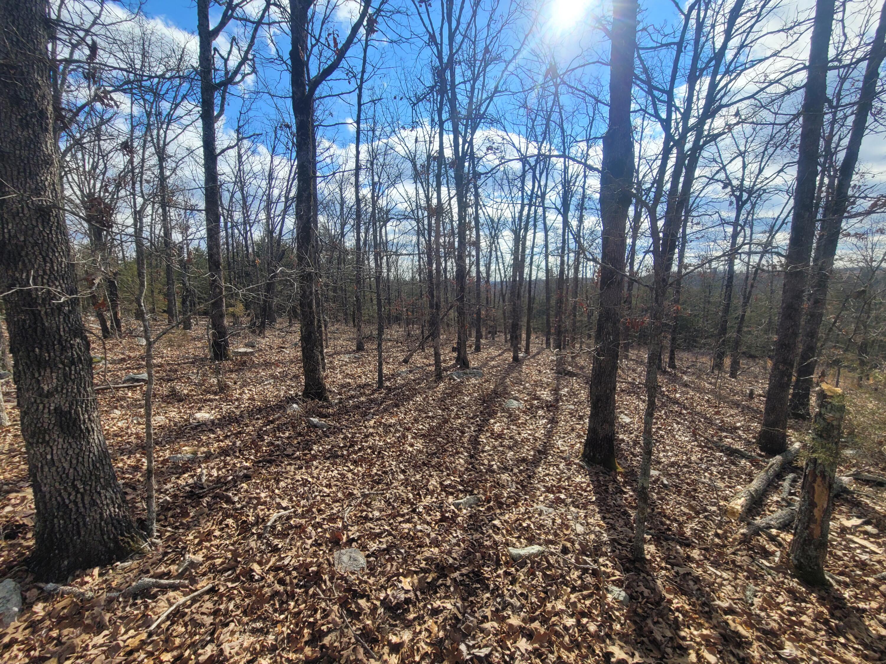 000 Hickory Flats Road Property Photo 25