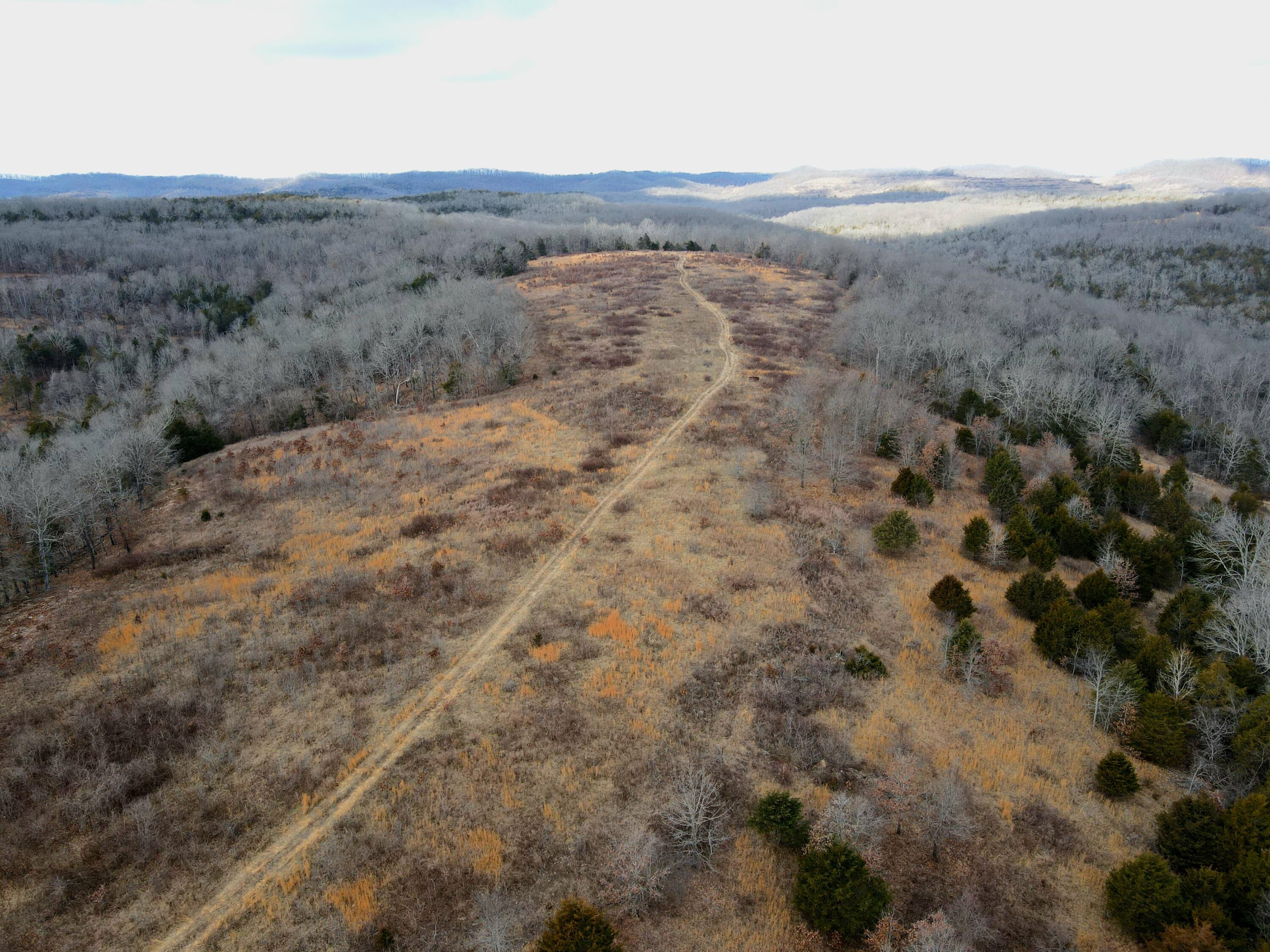 000 Hickory Flats Road Property Photo 34