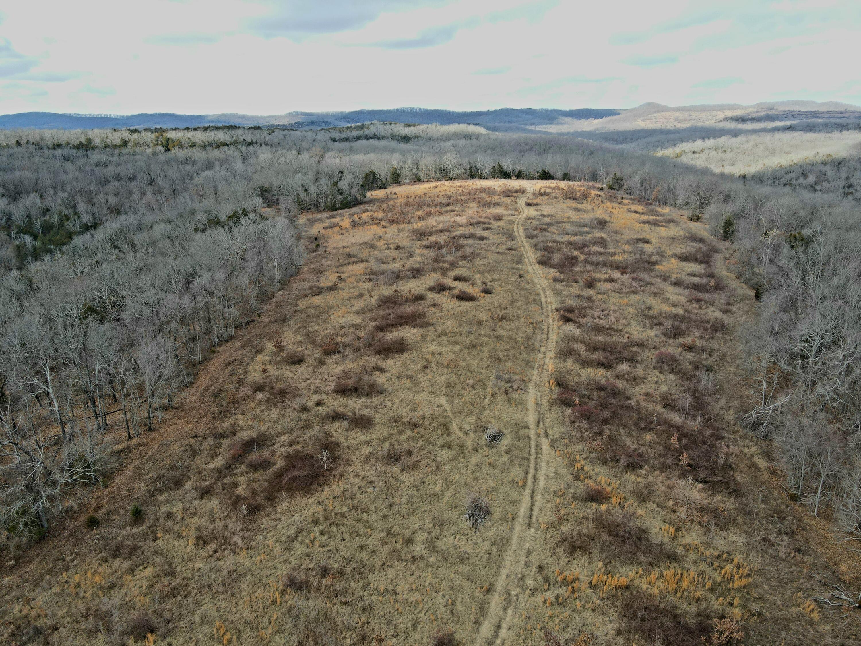 000 Hickory Flats Road Property Photo 35