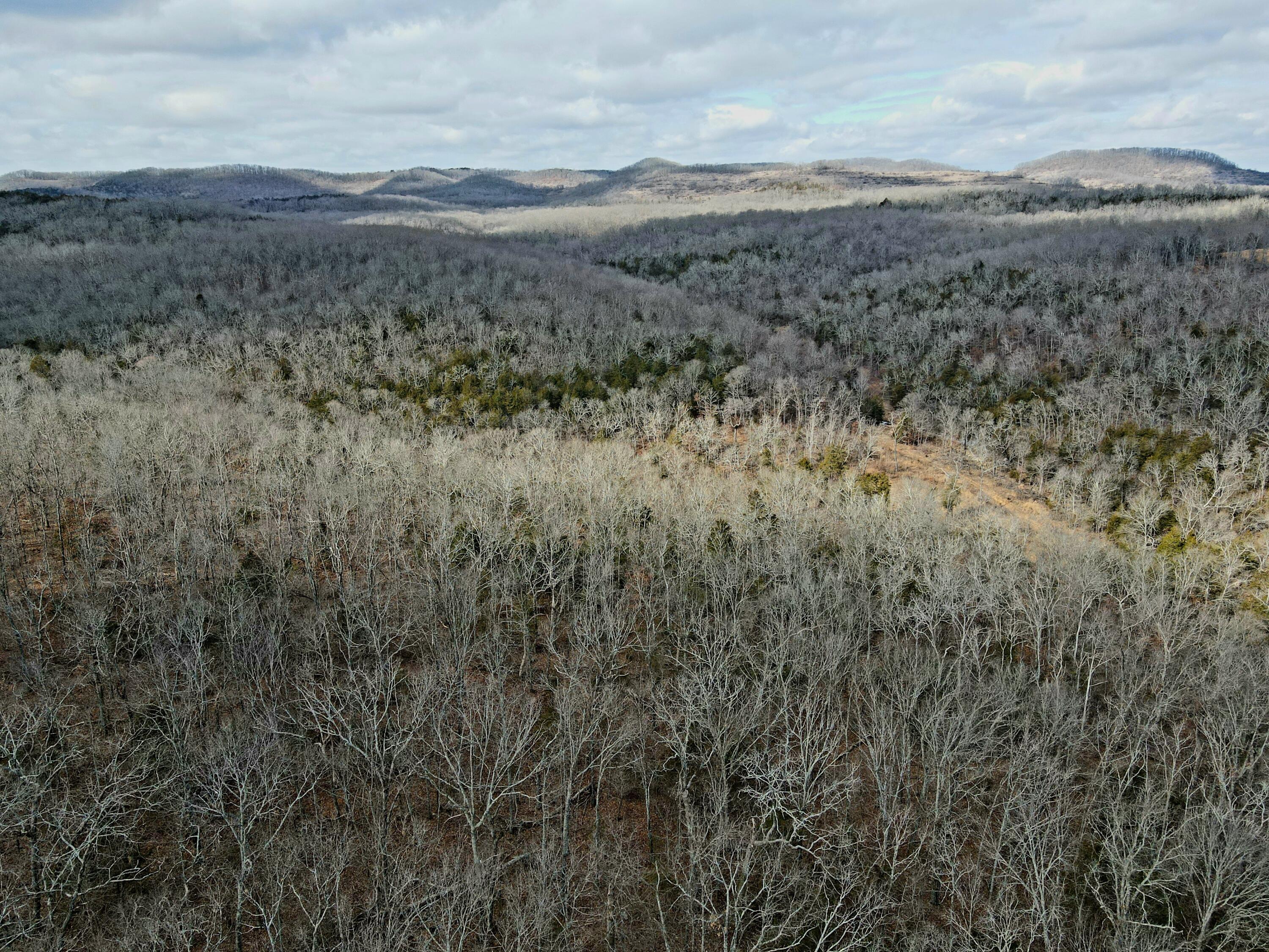 000 Hickory Flats Road Property Photo 38