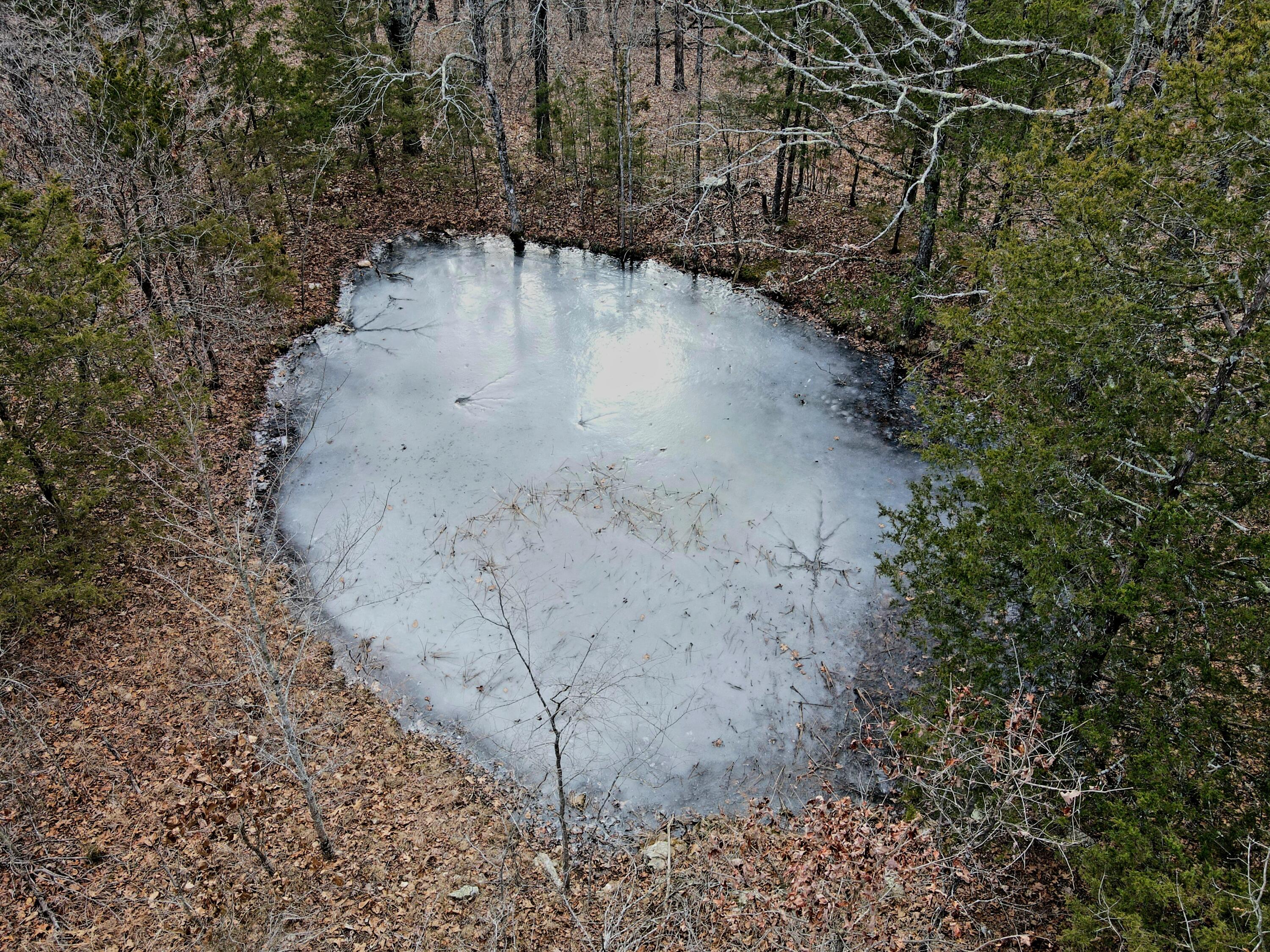 000 Hickory Flats Road Property Photo 40