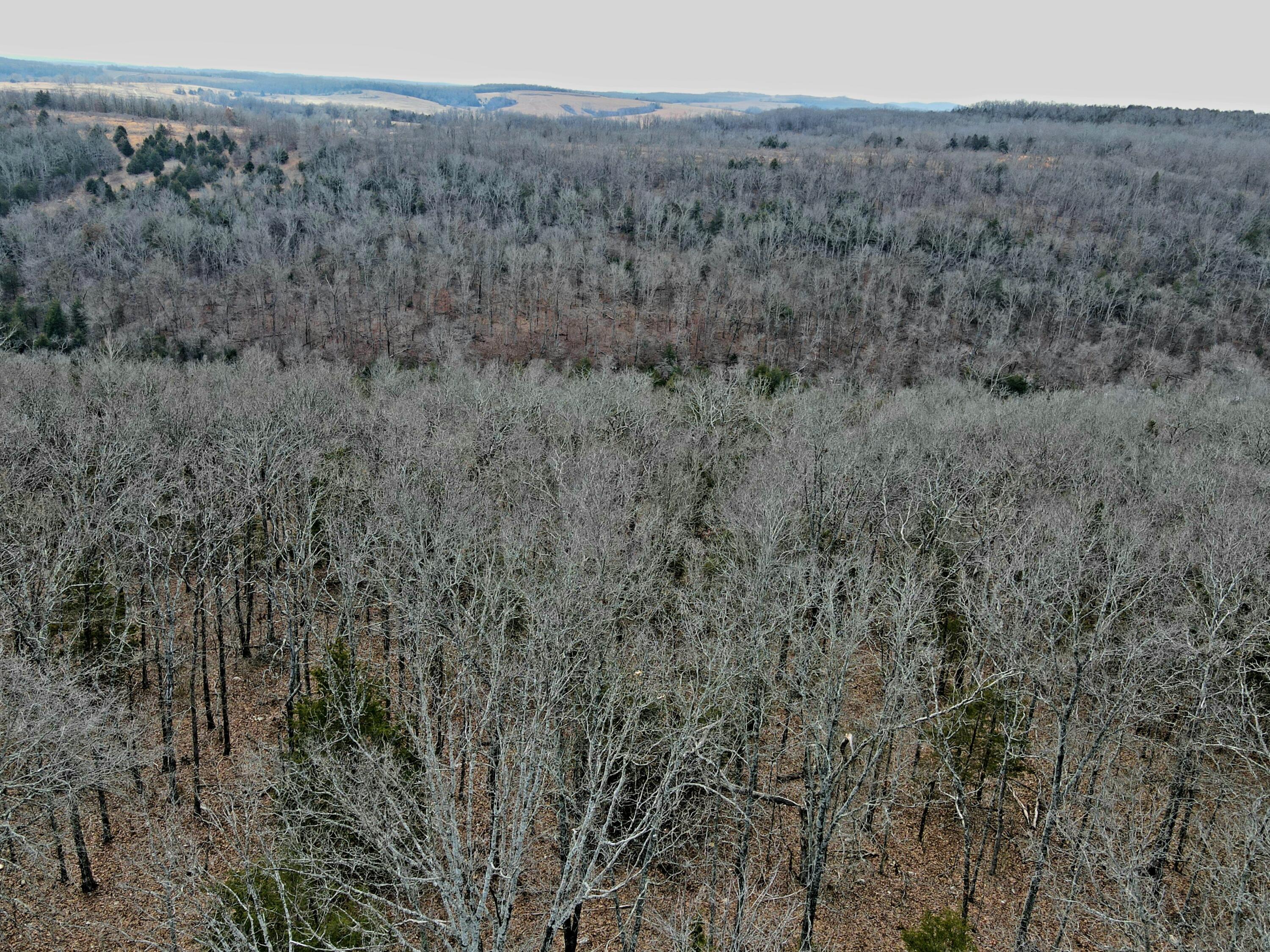 000 Hickory Flats Road Property Photo 41