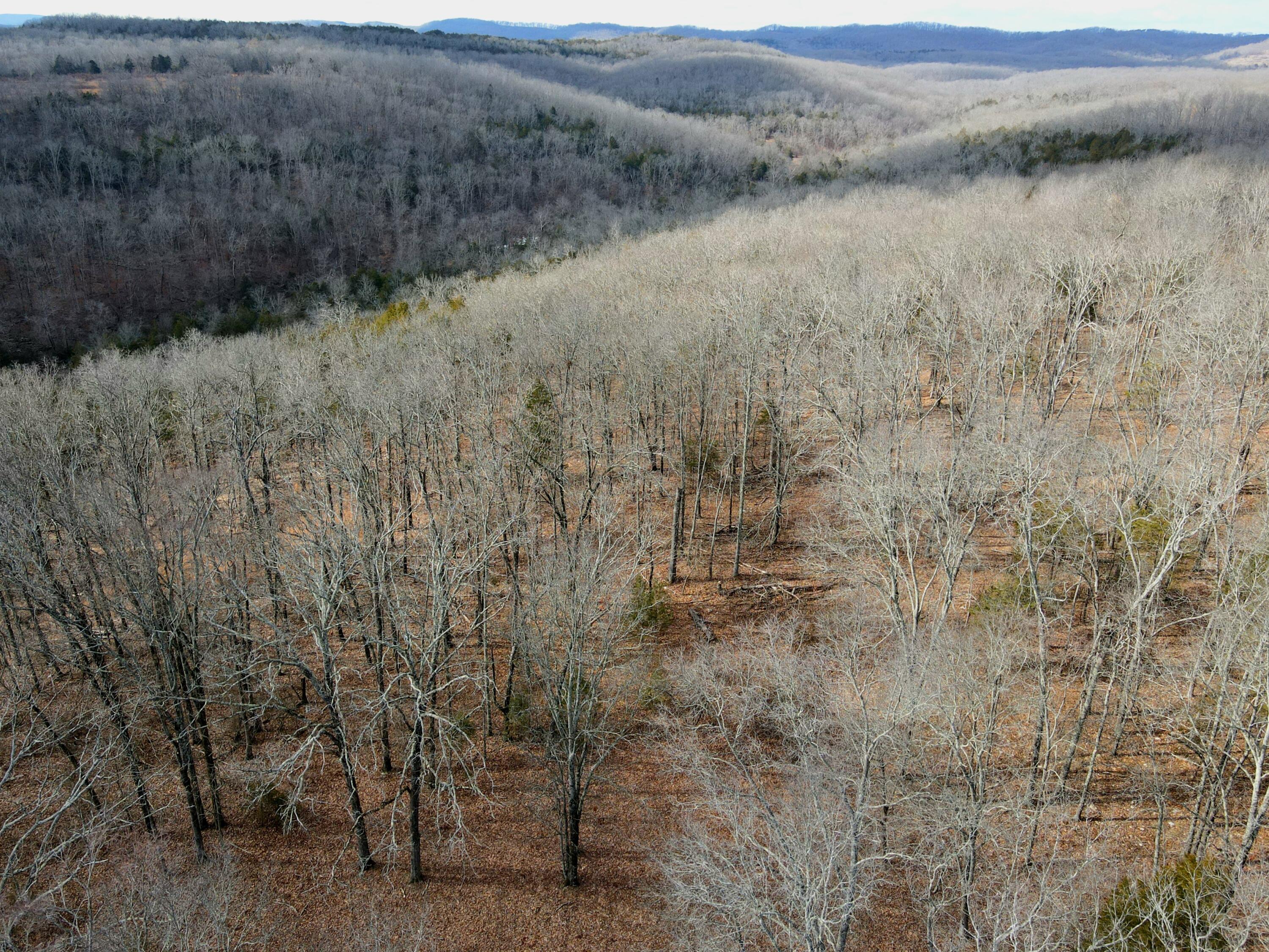 000 Hickory Flats Road Property Photo 44
