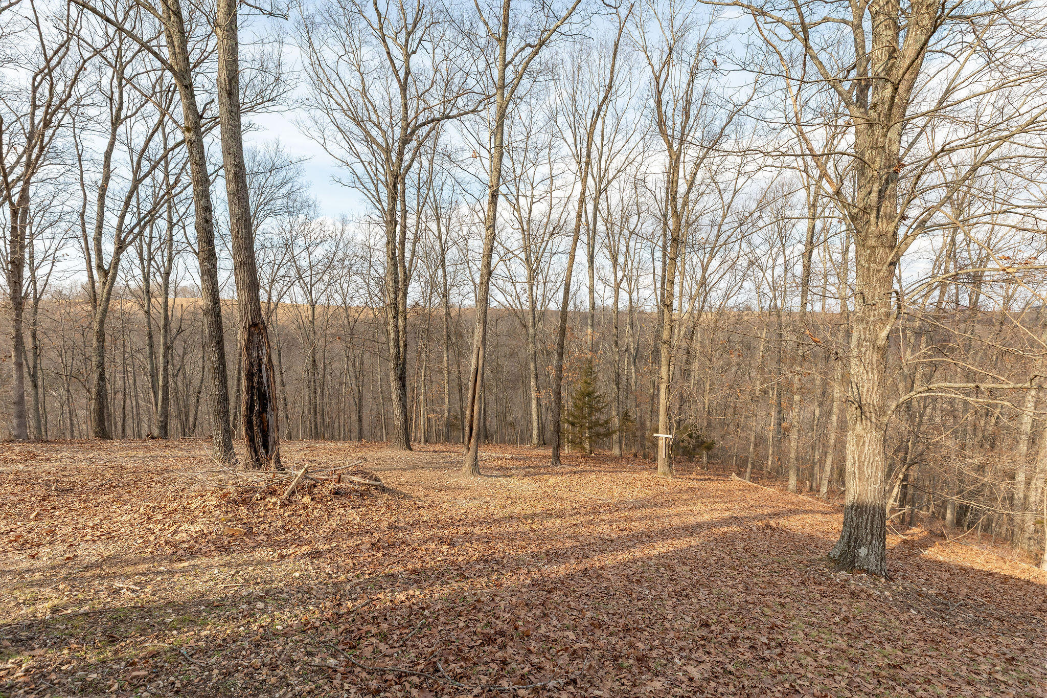 292 Canopy Drive Property Photo 27