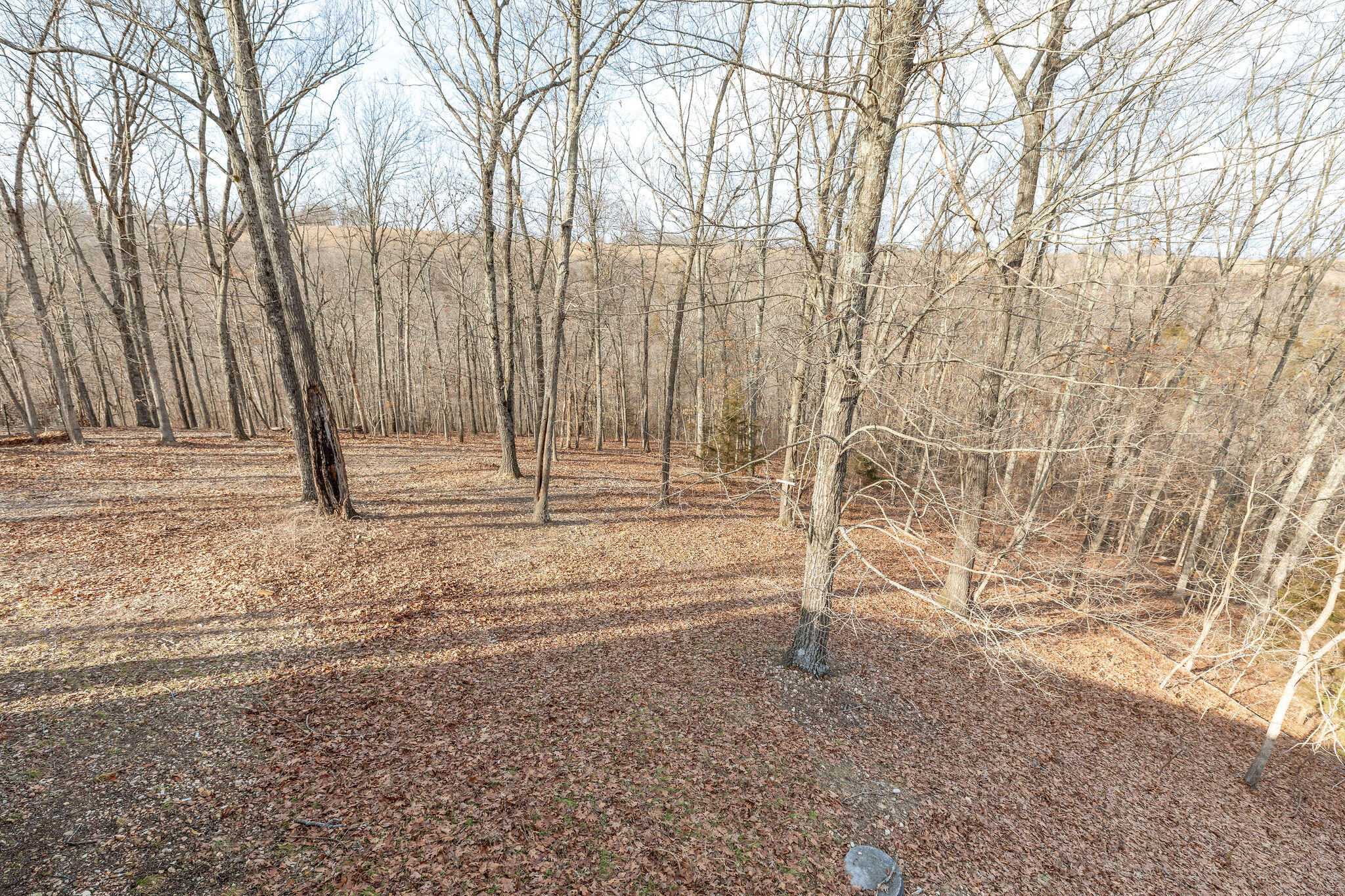292 Canopy Drive Property Photo 32