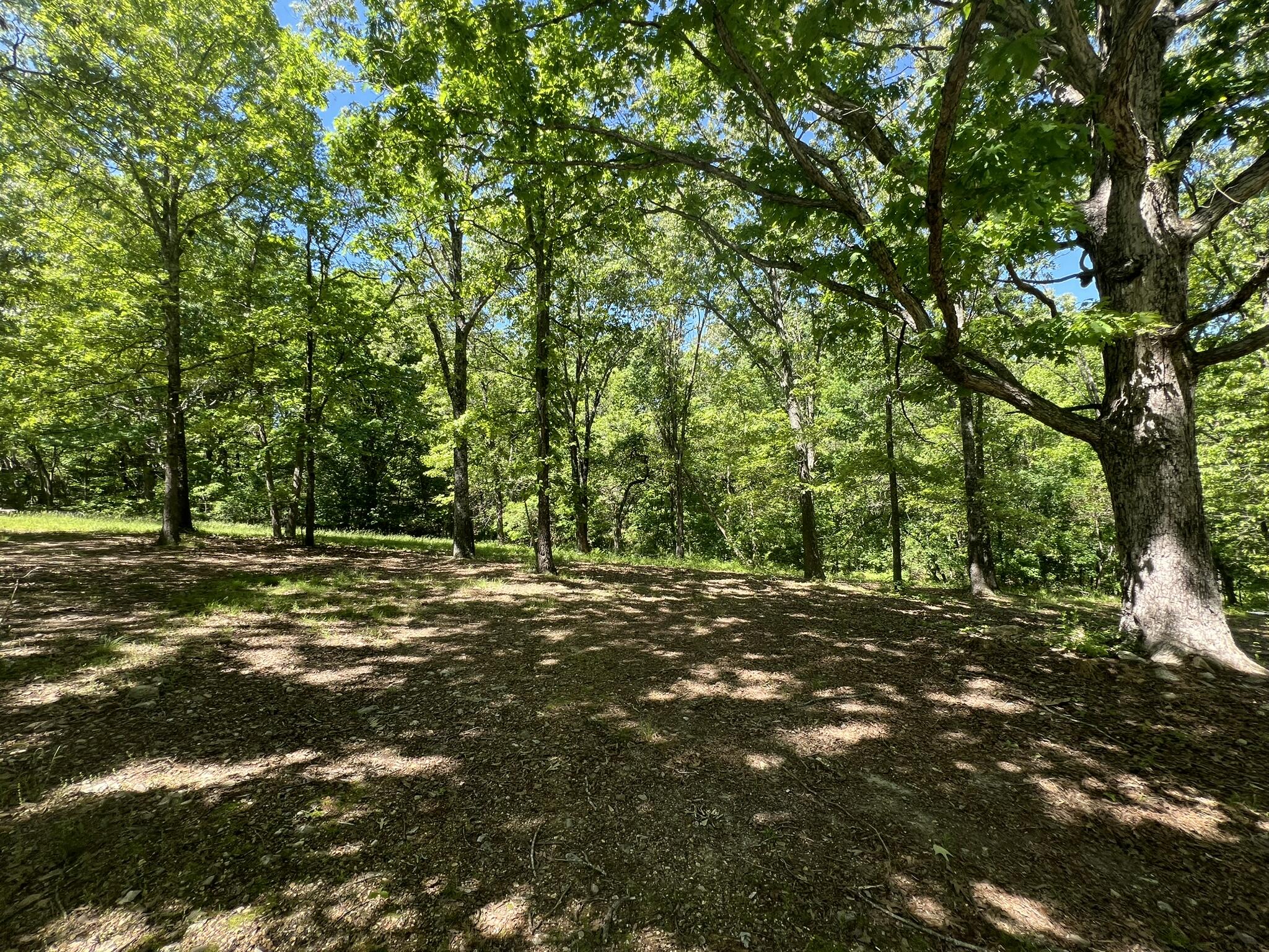 91 County Road 199a Property Photo 8