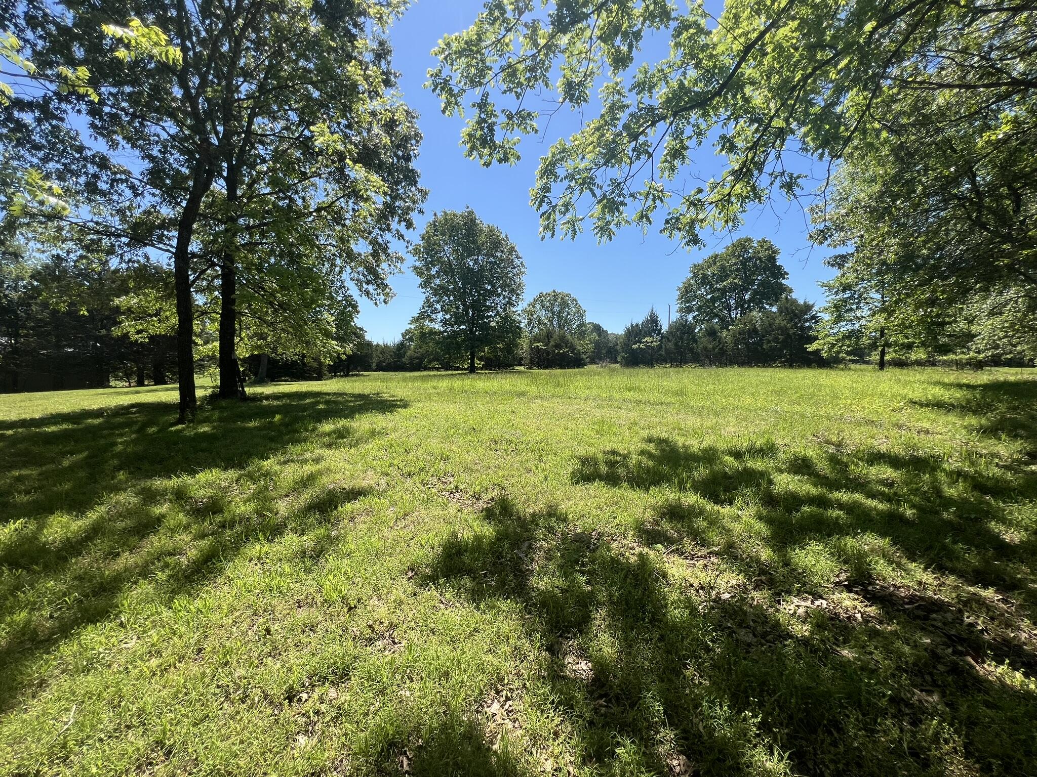 91 County Road 199a Property Photo 67