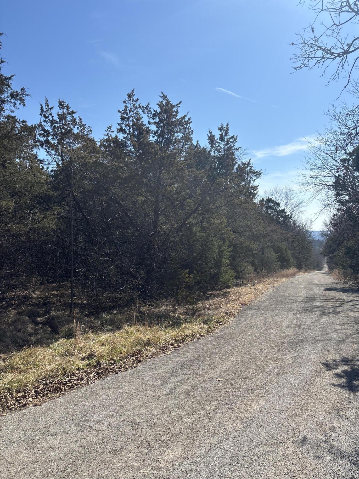 Tbd State Hwy Yy Property Photo 1