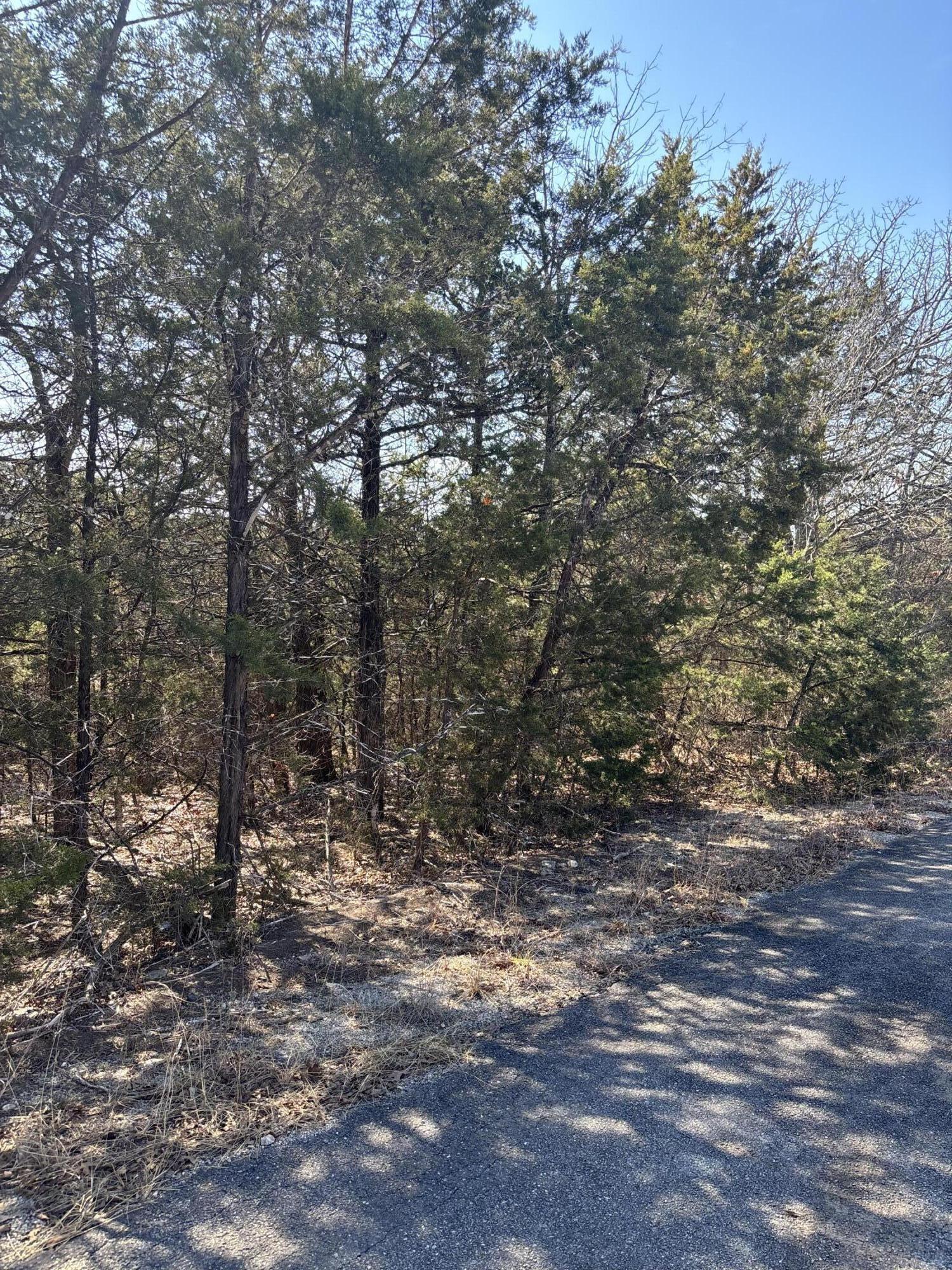 Tbd State Hwy Yy Property Photo 2