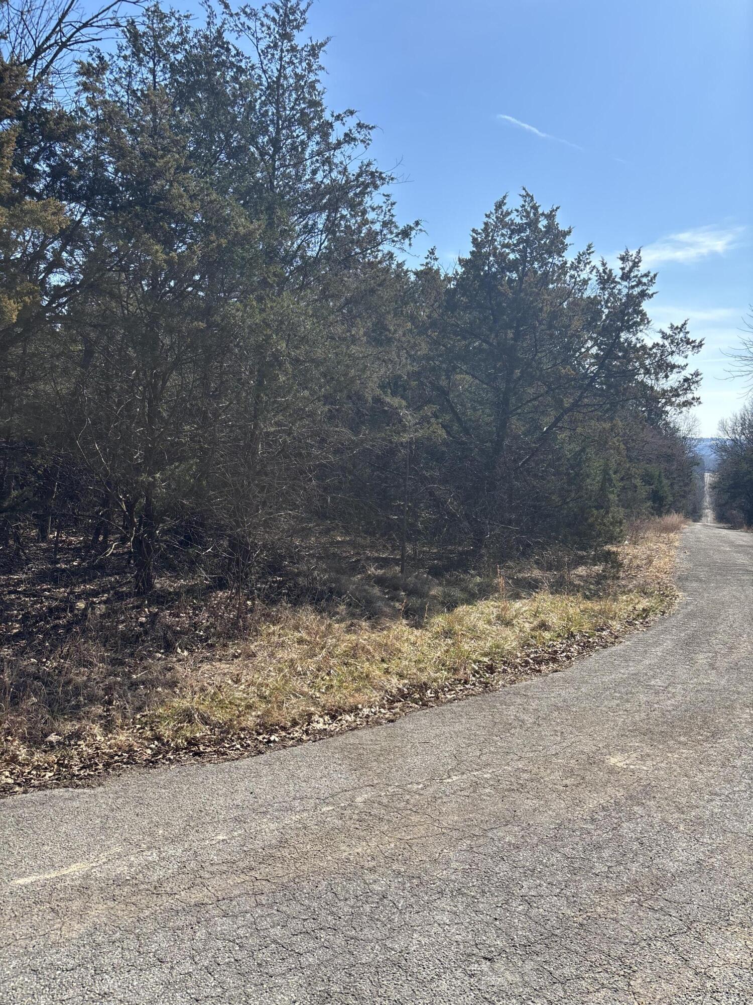 Tbd State Hwy Yy Property Photo 5