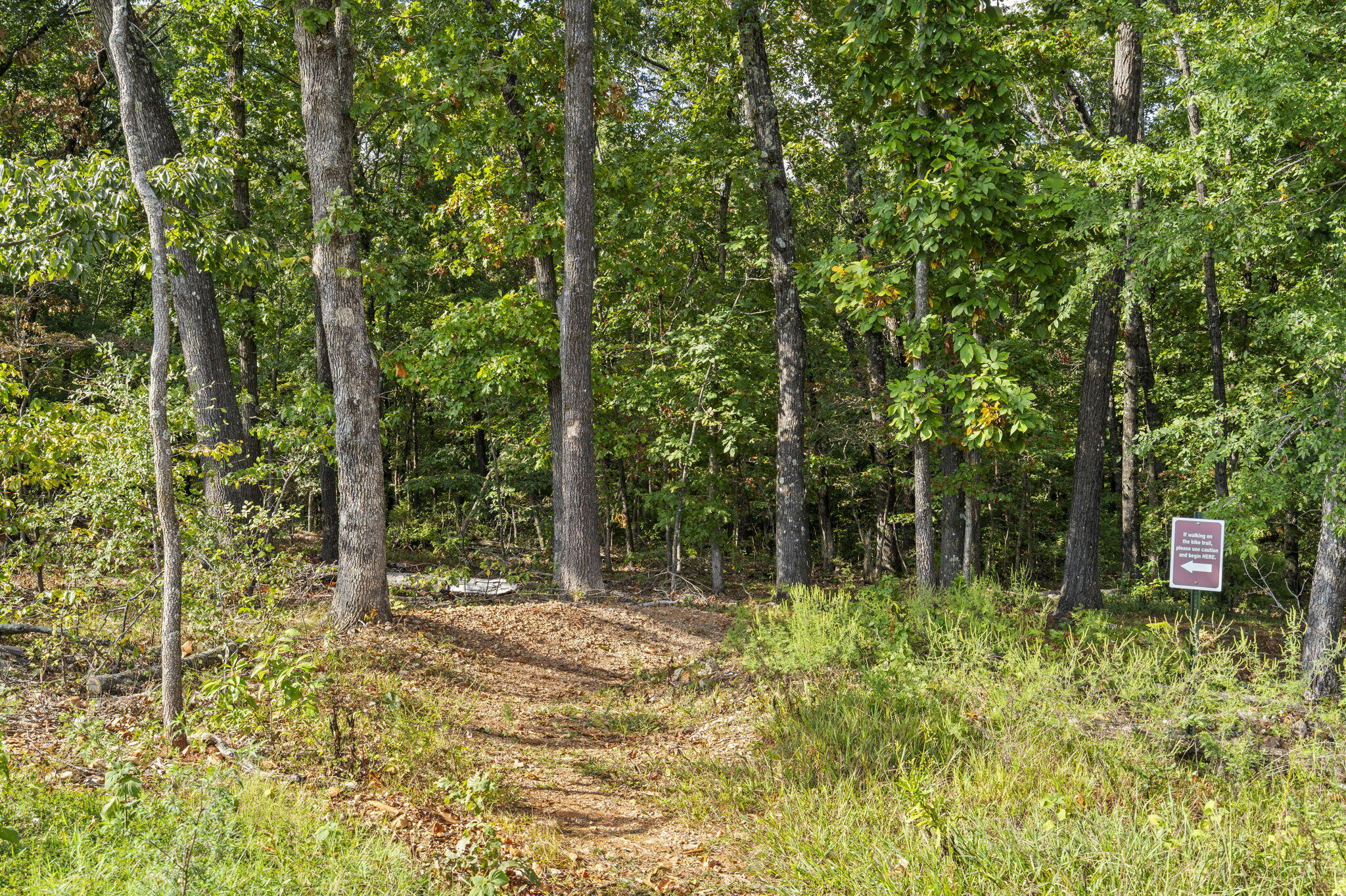546 Buttermilk Springs Property Photo 85