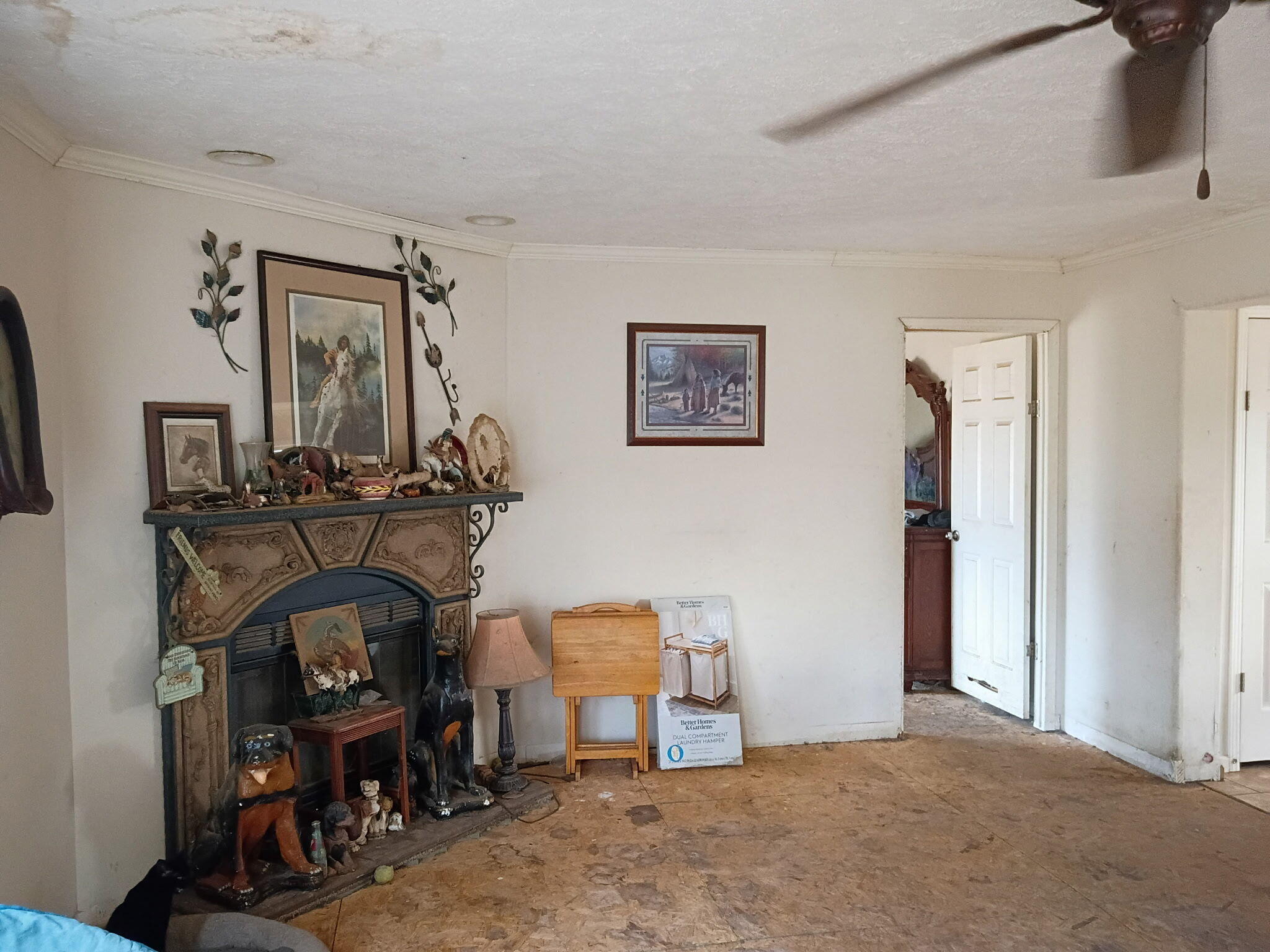 2479 County Road 304 Property Photo 5