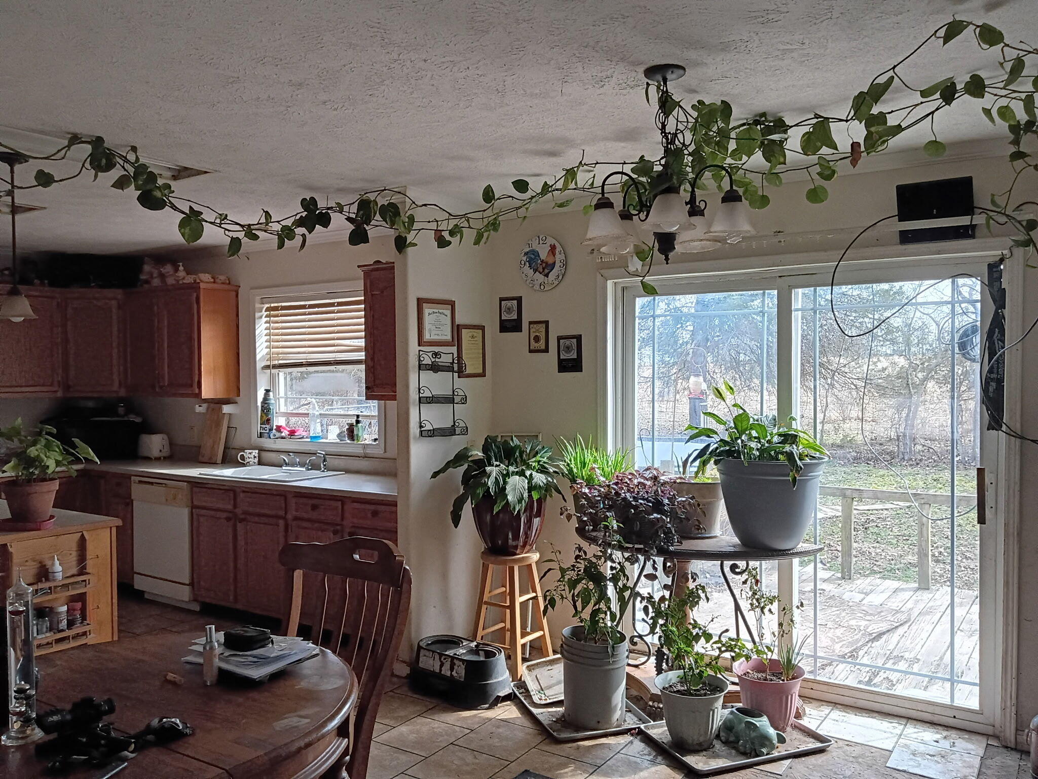 2479 County Road 304 Property Photo 6