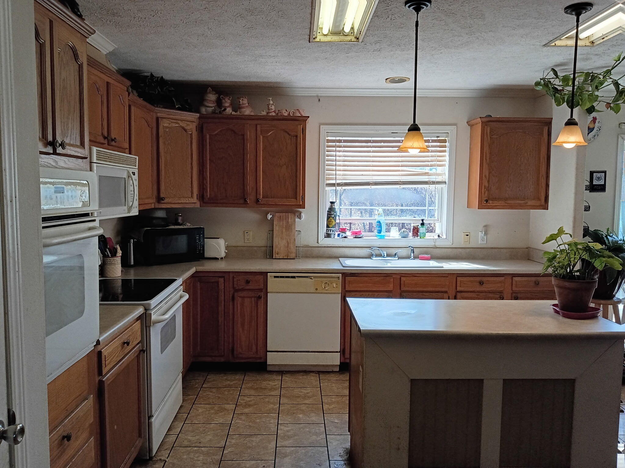 2479 County Road 304 Property Photo 8