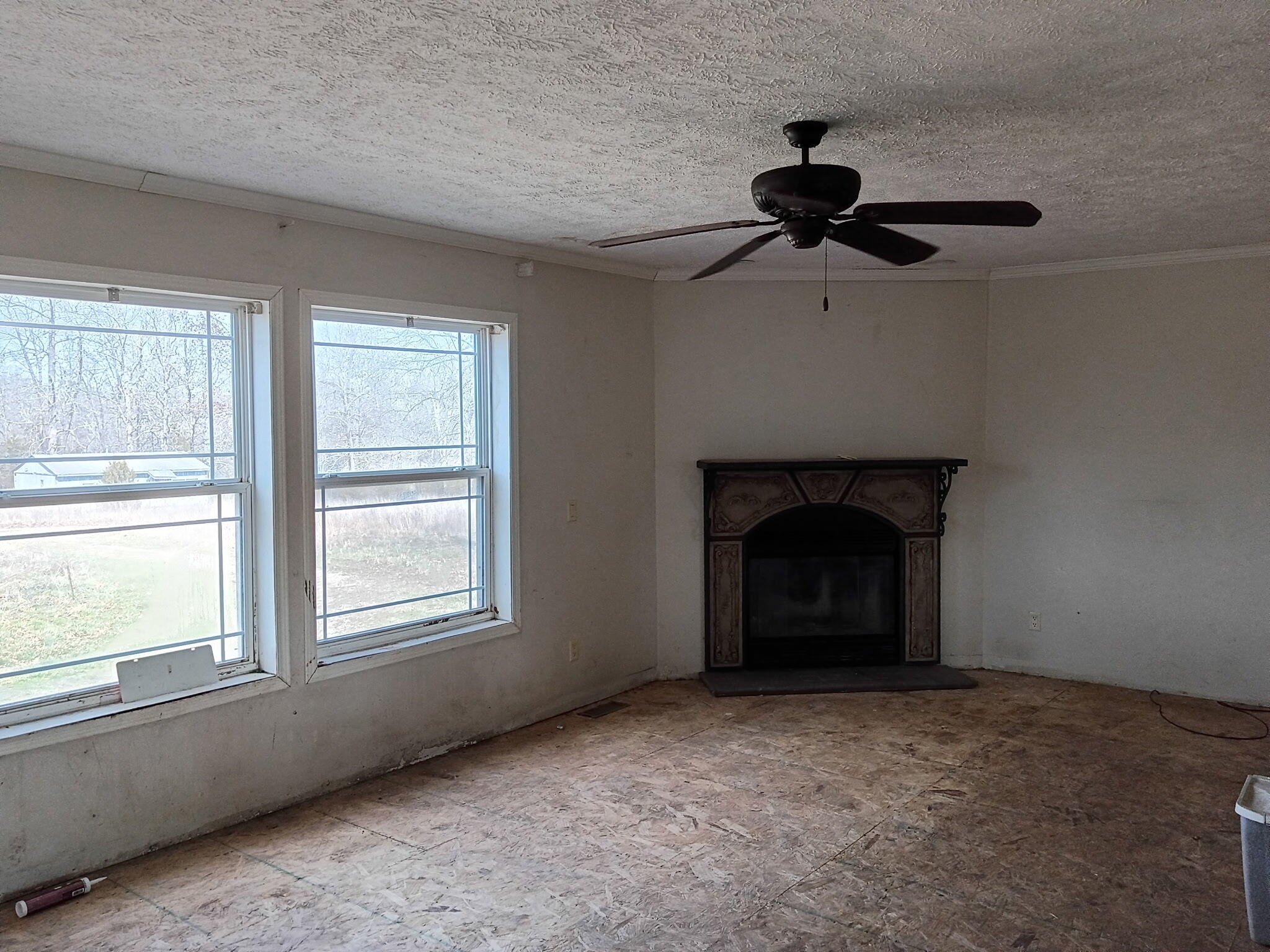 2479 County Road 304 Property Photo 9