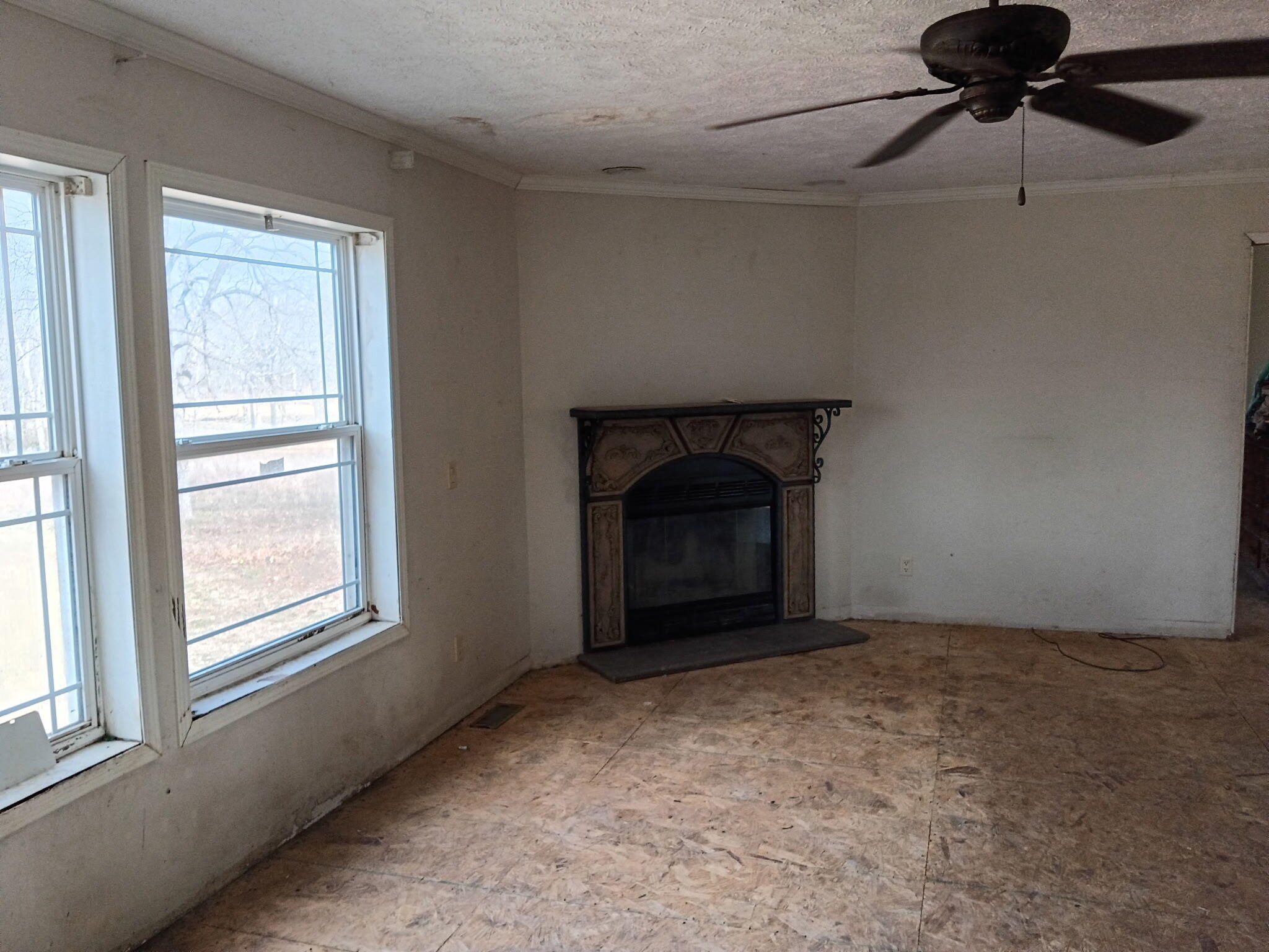 2479 County Road 304 Property Photo 10