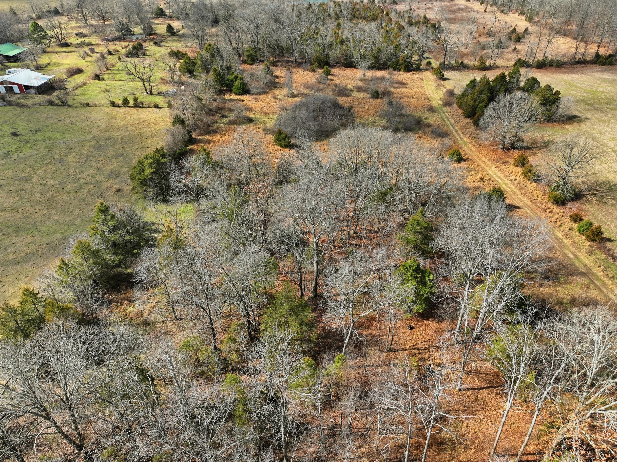 2479 County Road 304 Property Photo 18