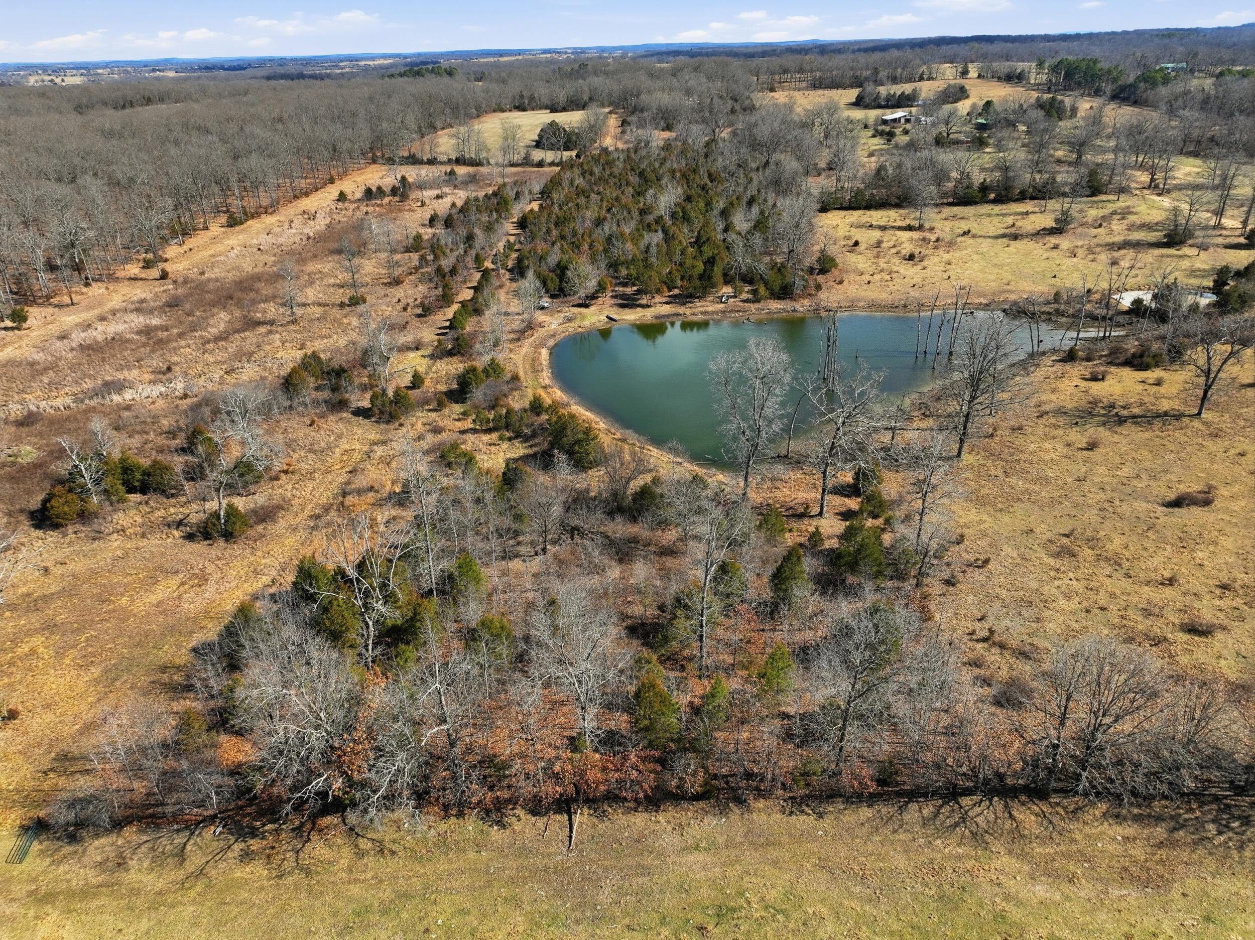 2479 County Road 304 Property Photo 22