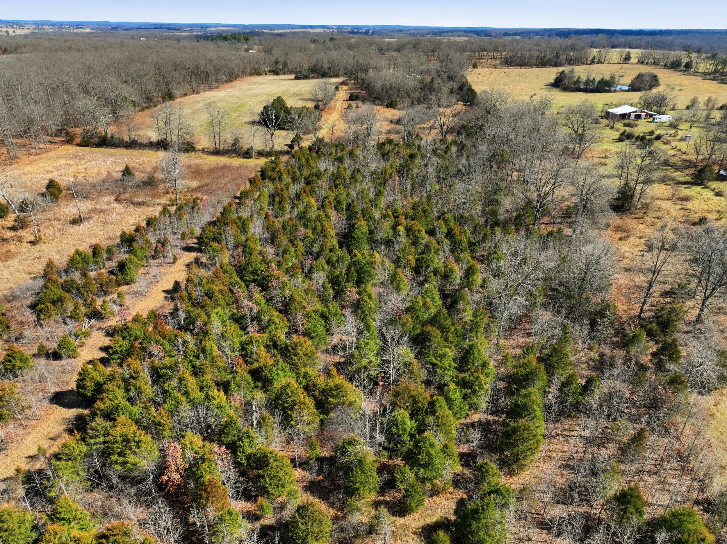 2479 County Road 304 Property Photo 25