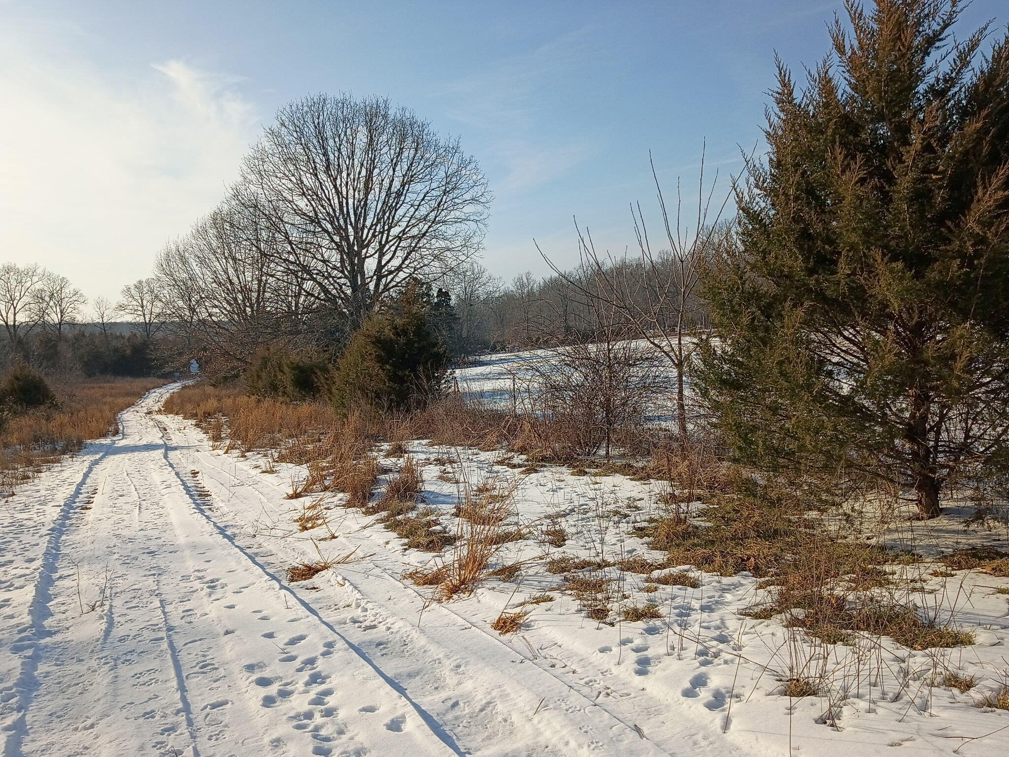 2479 County Road 304 Property Photo 40