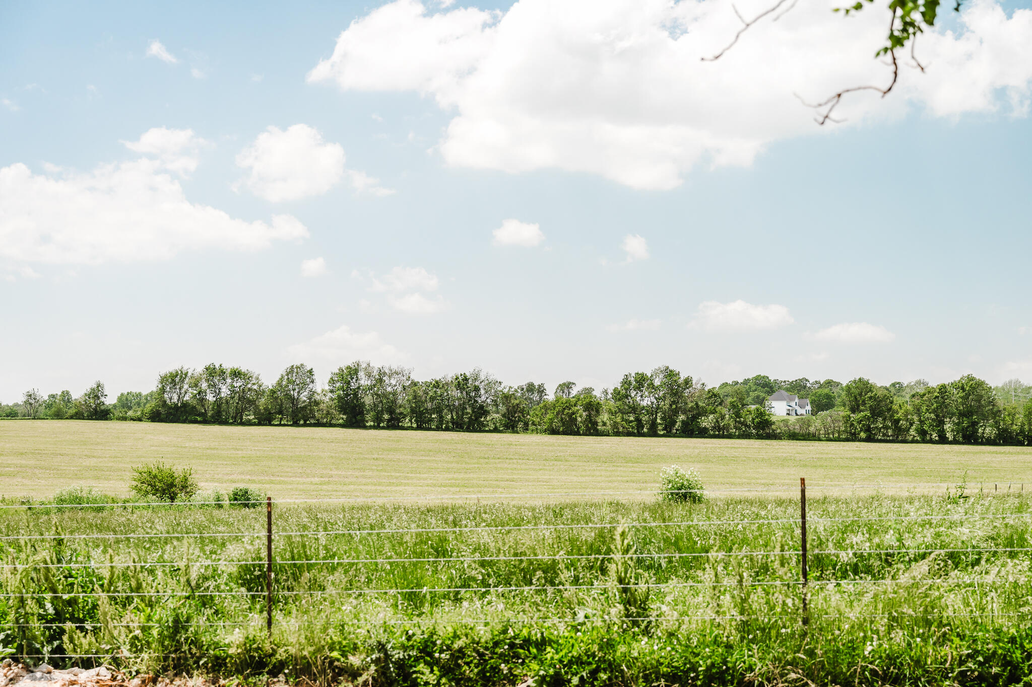 795 Lenape Road Property Photo 43