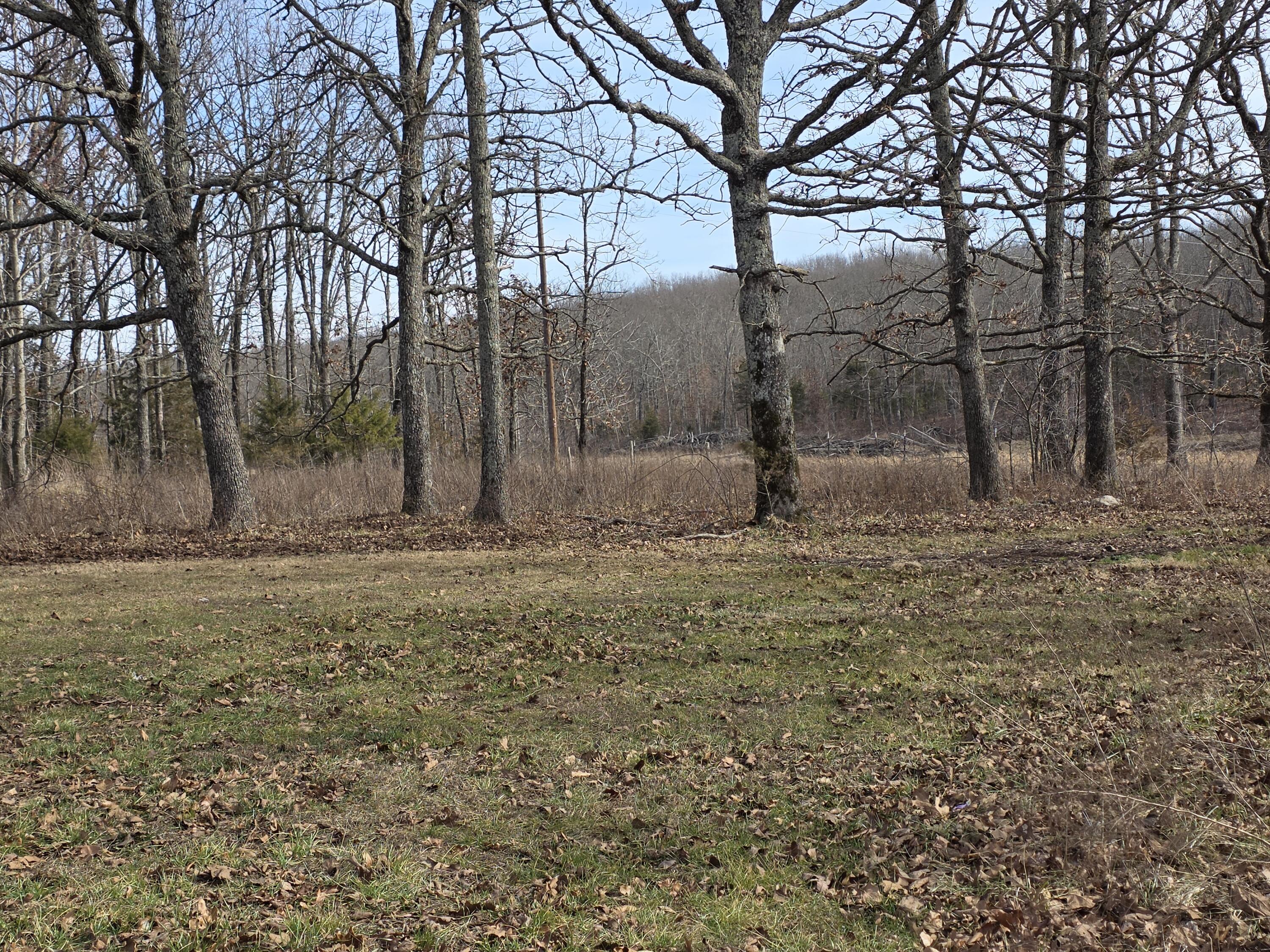 10550 Mill Road Property Photo 30