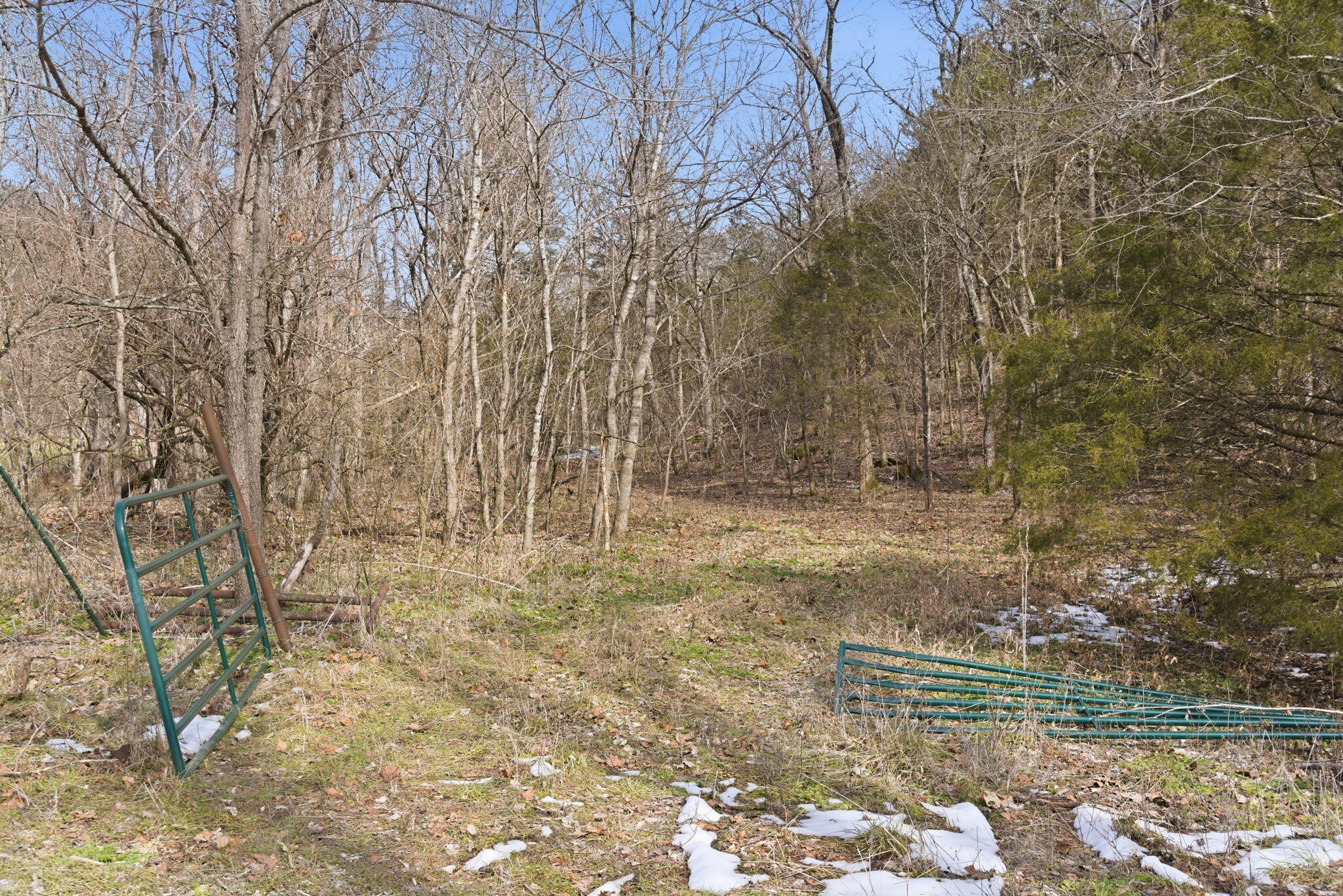 000 Reno Springs Road Property Photo 6