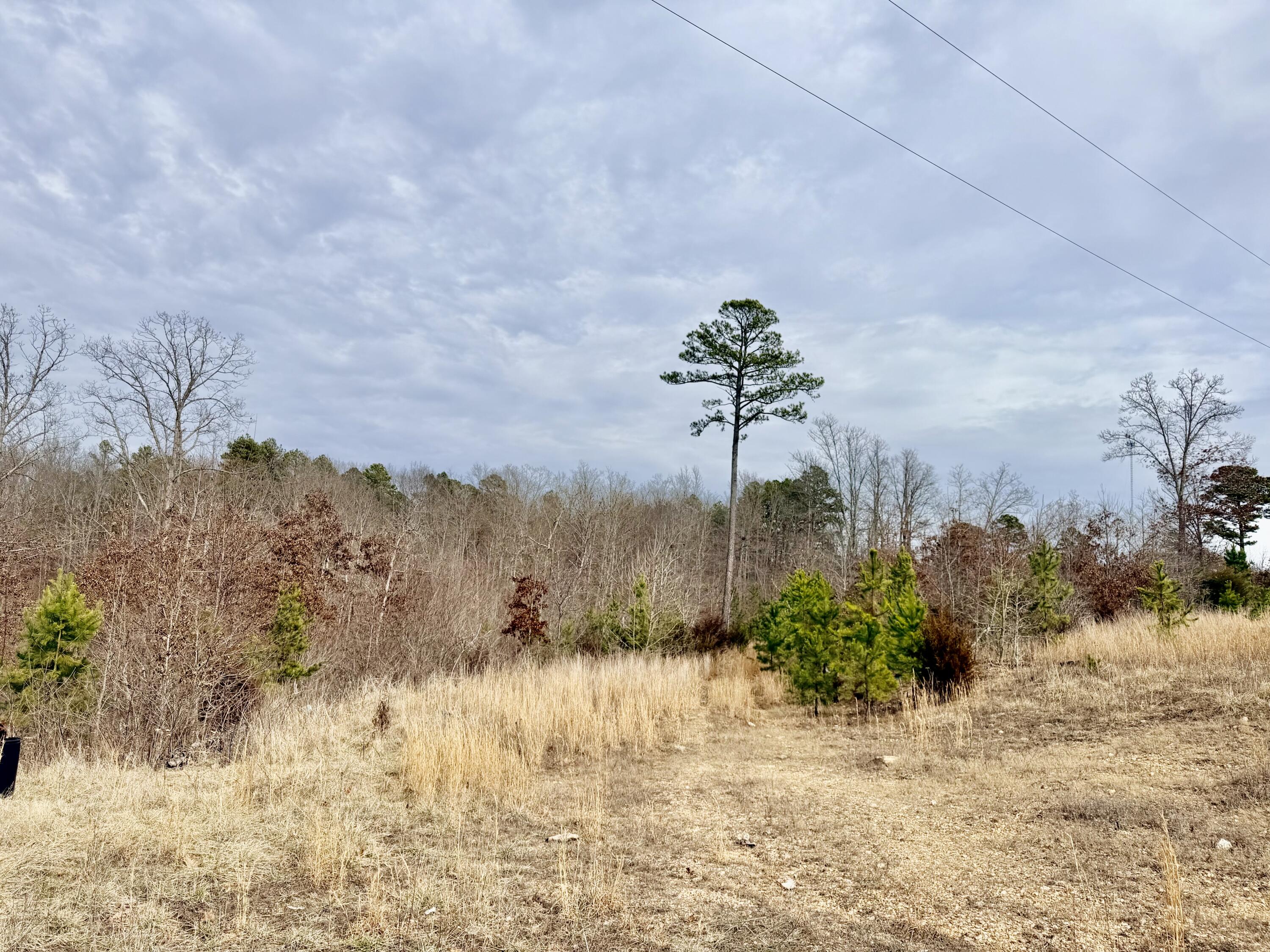 663 State Highway Ww Property Photo 12