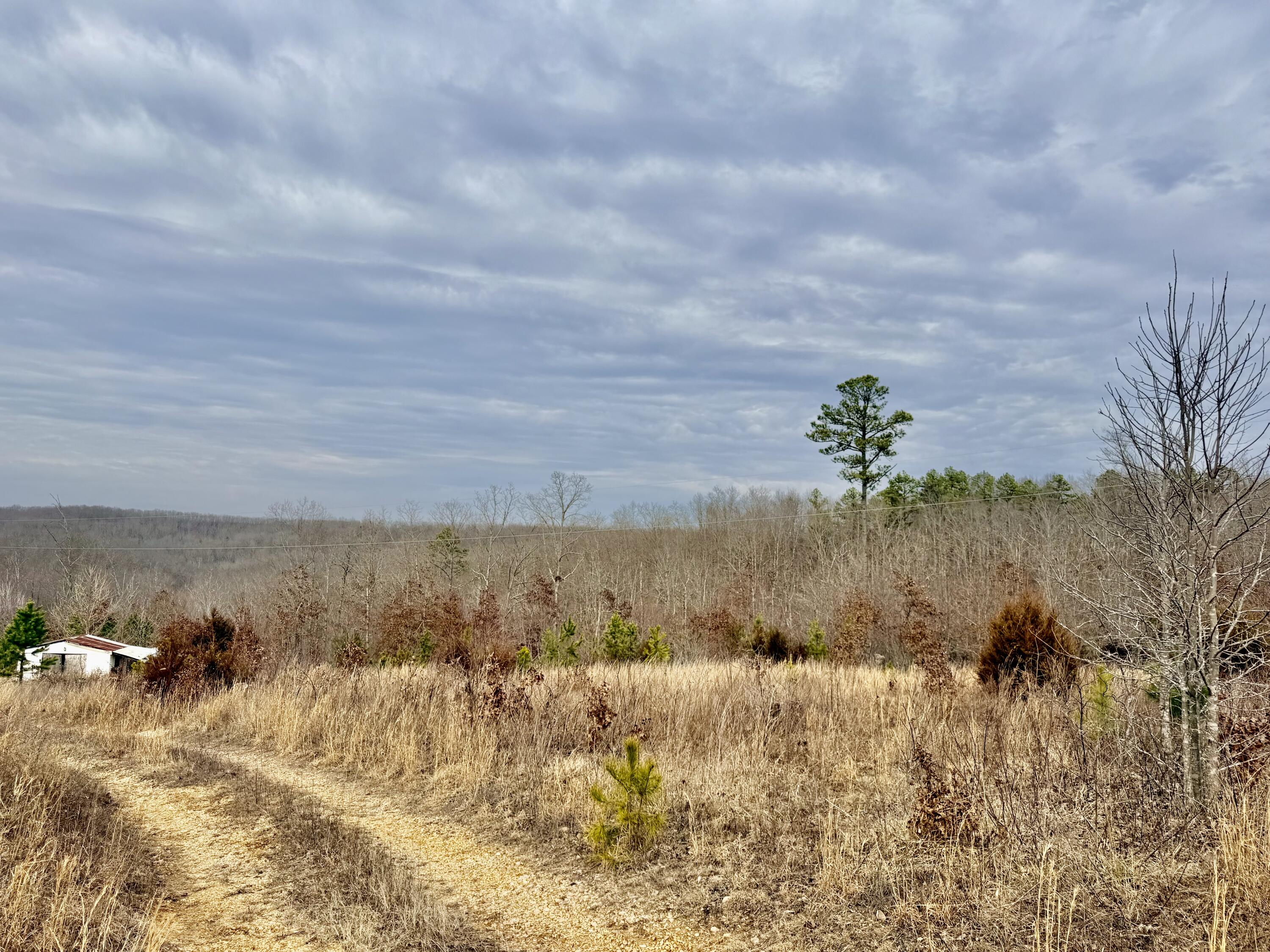 663 State Highway Ww Property Photo 13