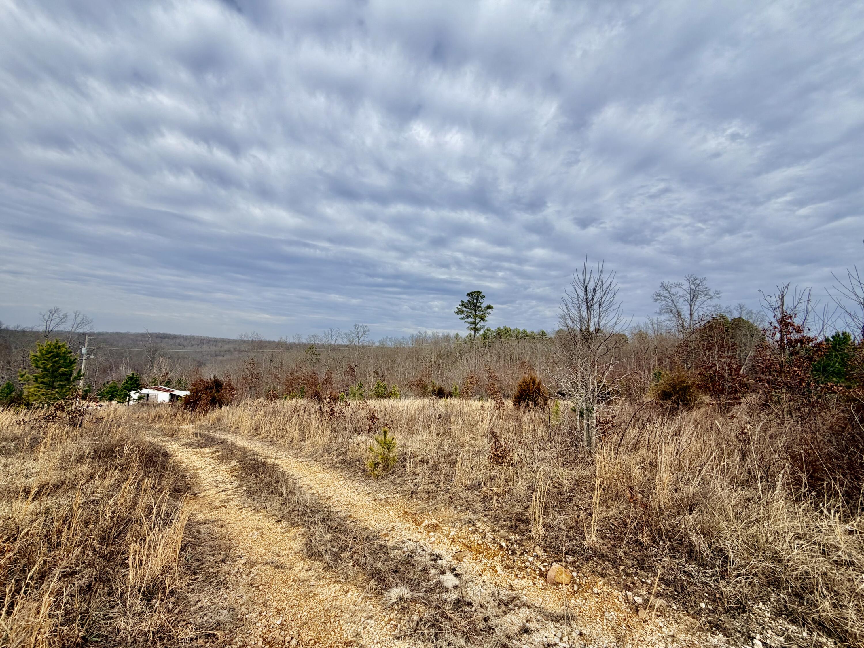 663 State Highway Ww Property Photo 14