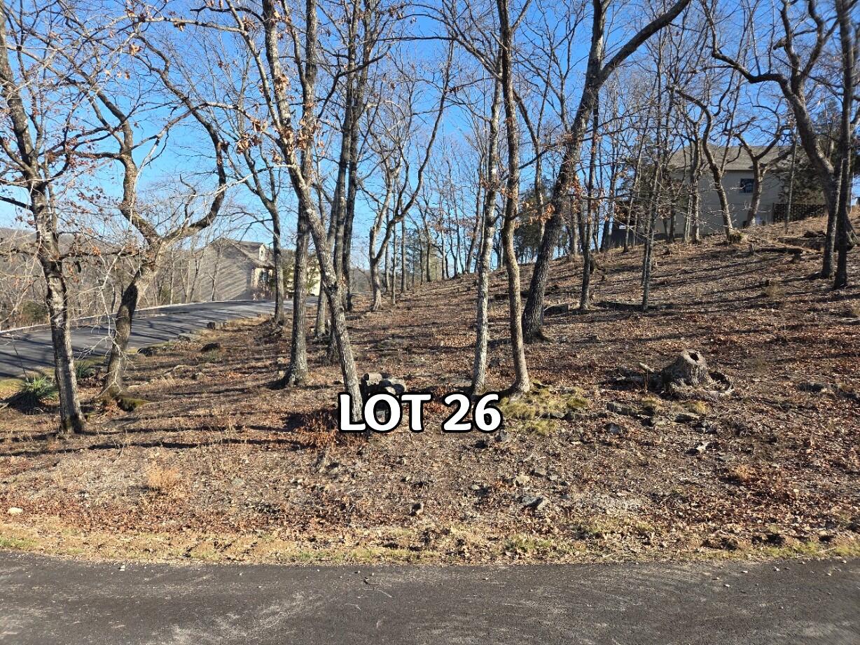 Lot 26 Canada Drive Property Photo 8