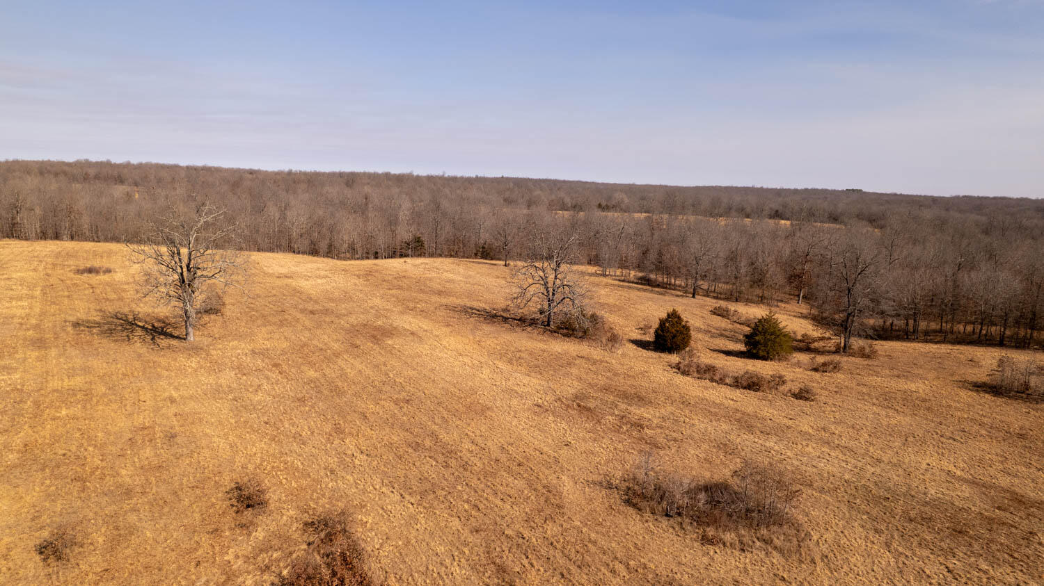 000 Pleasant Run Road Property Photo 18