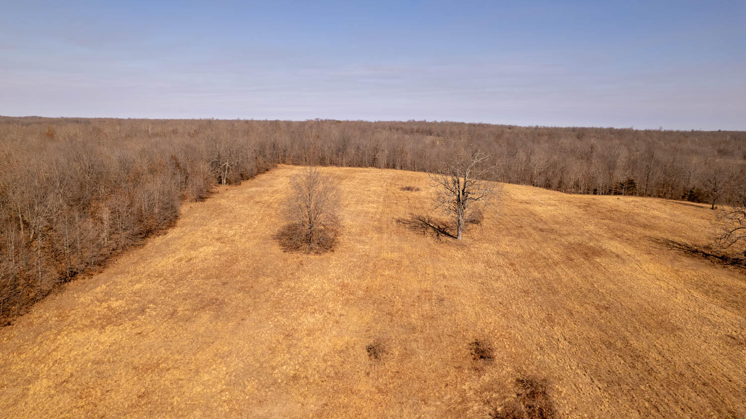 000 Pleasant Run Road Property Photo 19