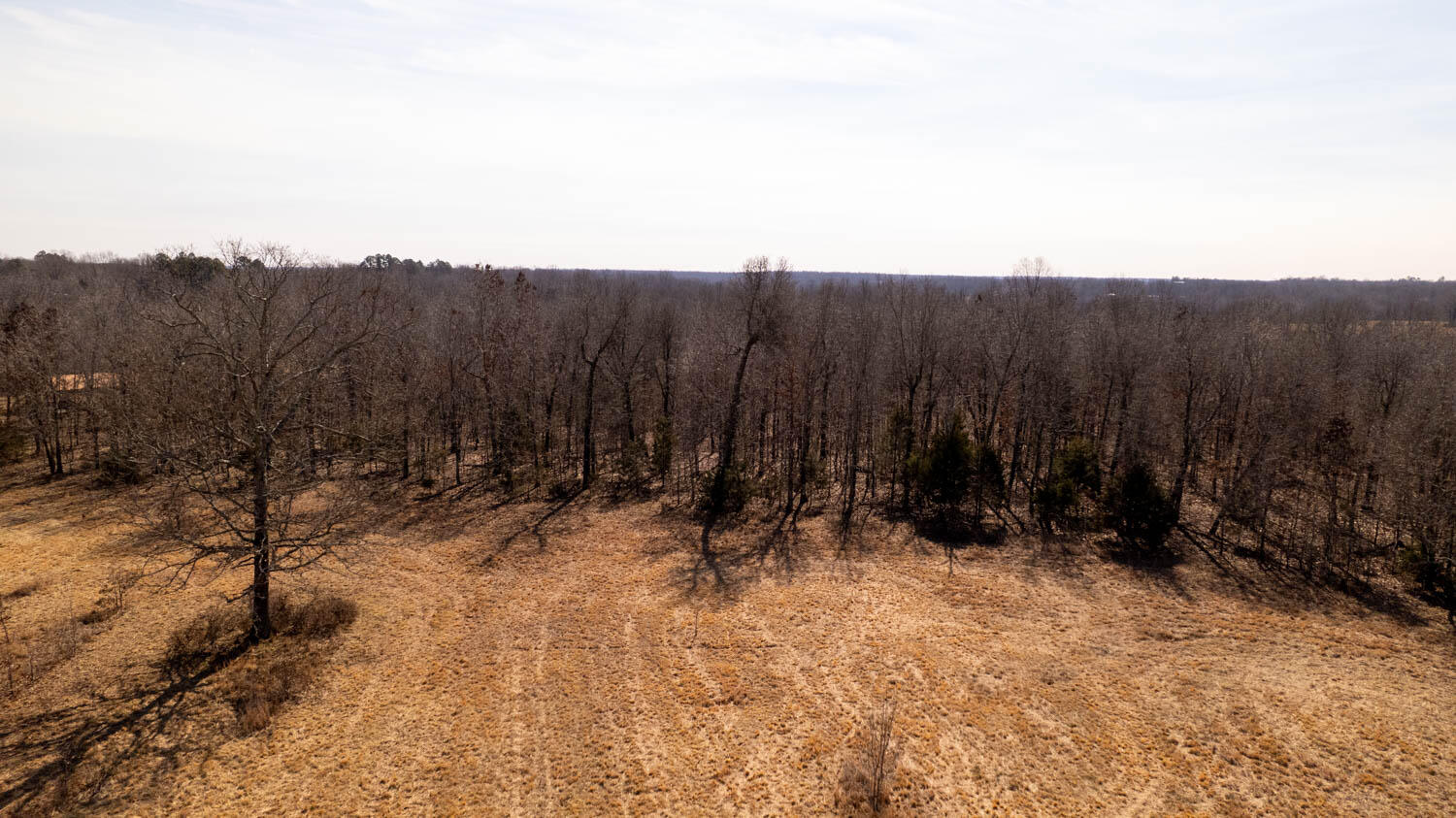 000 Pleasant Run Road Property Photo 23