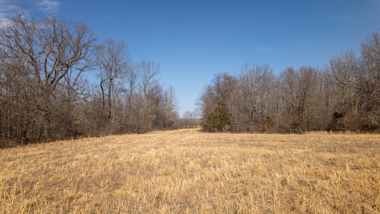 000 Pleasant Run Road Property Photo 30