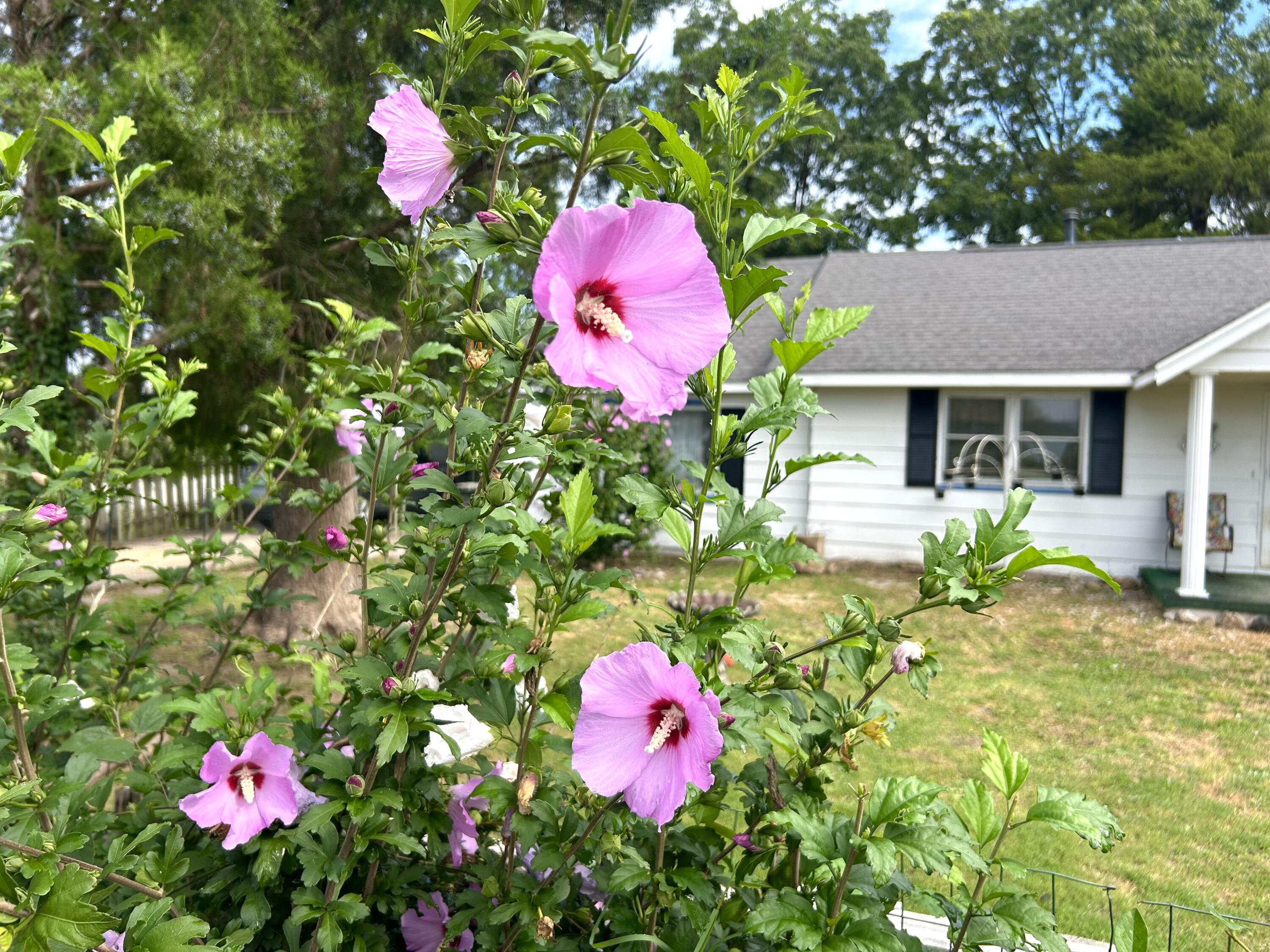 820 2nd Street Property Photo 7