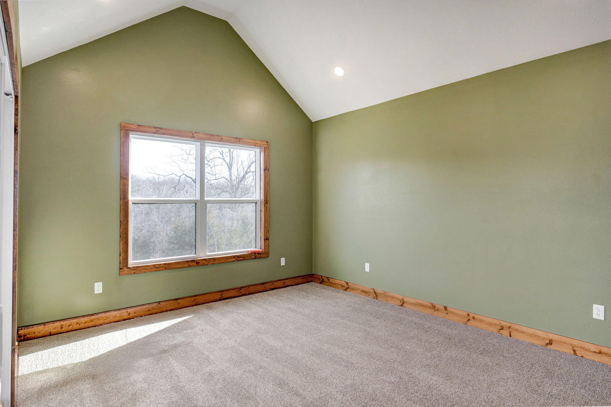 208 Danalia Drive Property Photo 26