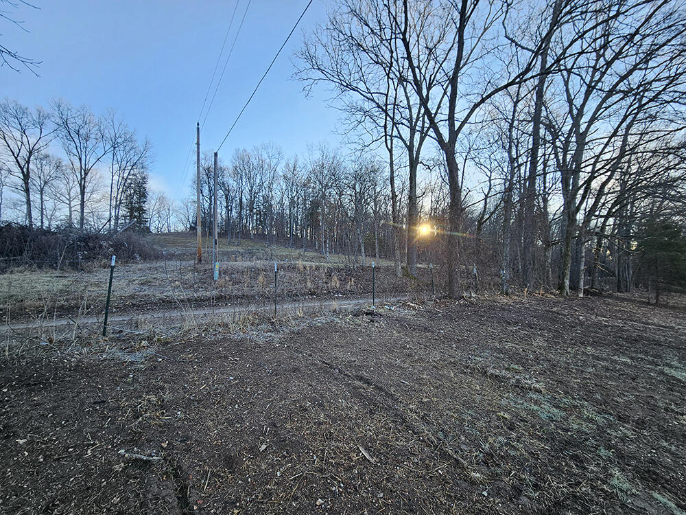 0 County Road 337a Property Photo 61