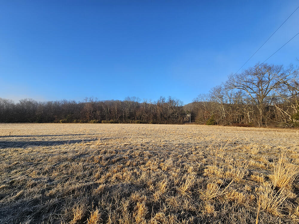 0 County Road 337a Property Photo 65