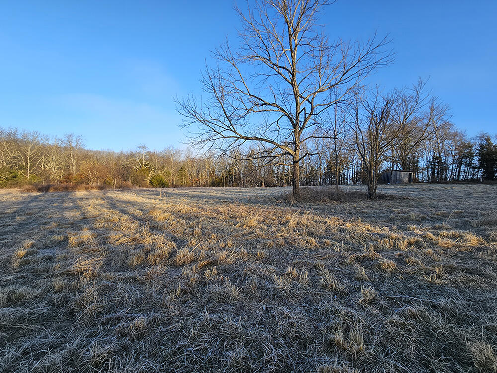 0 County Road 337a Property Photo 66