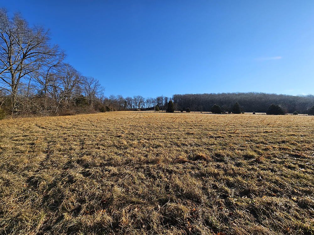 0 County Road 337a Property Photo 69
