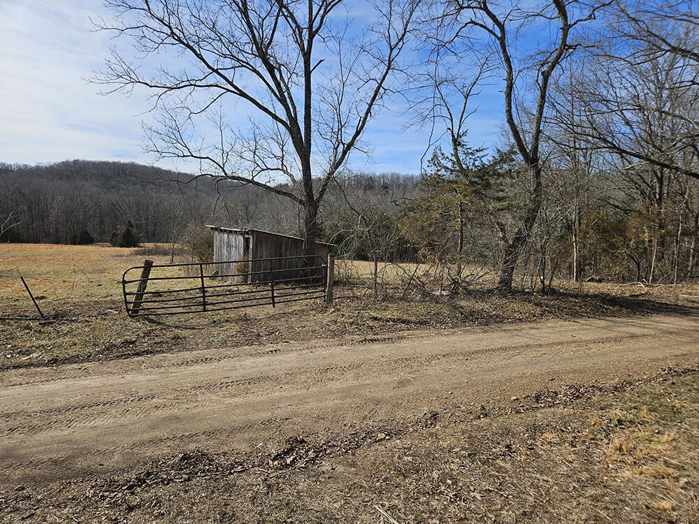 0 County Road 337a Property Photo 80