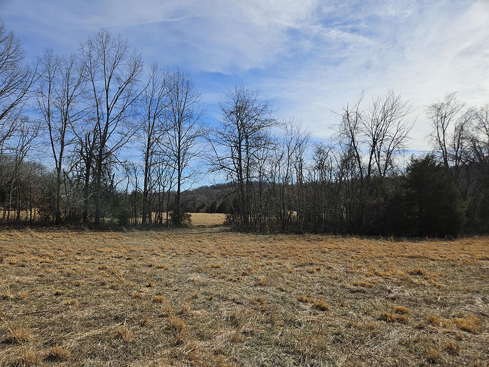 0 County Road 337a Property Photo 82