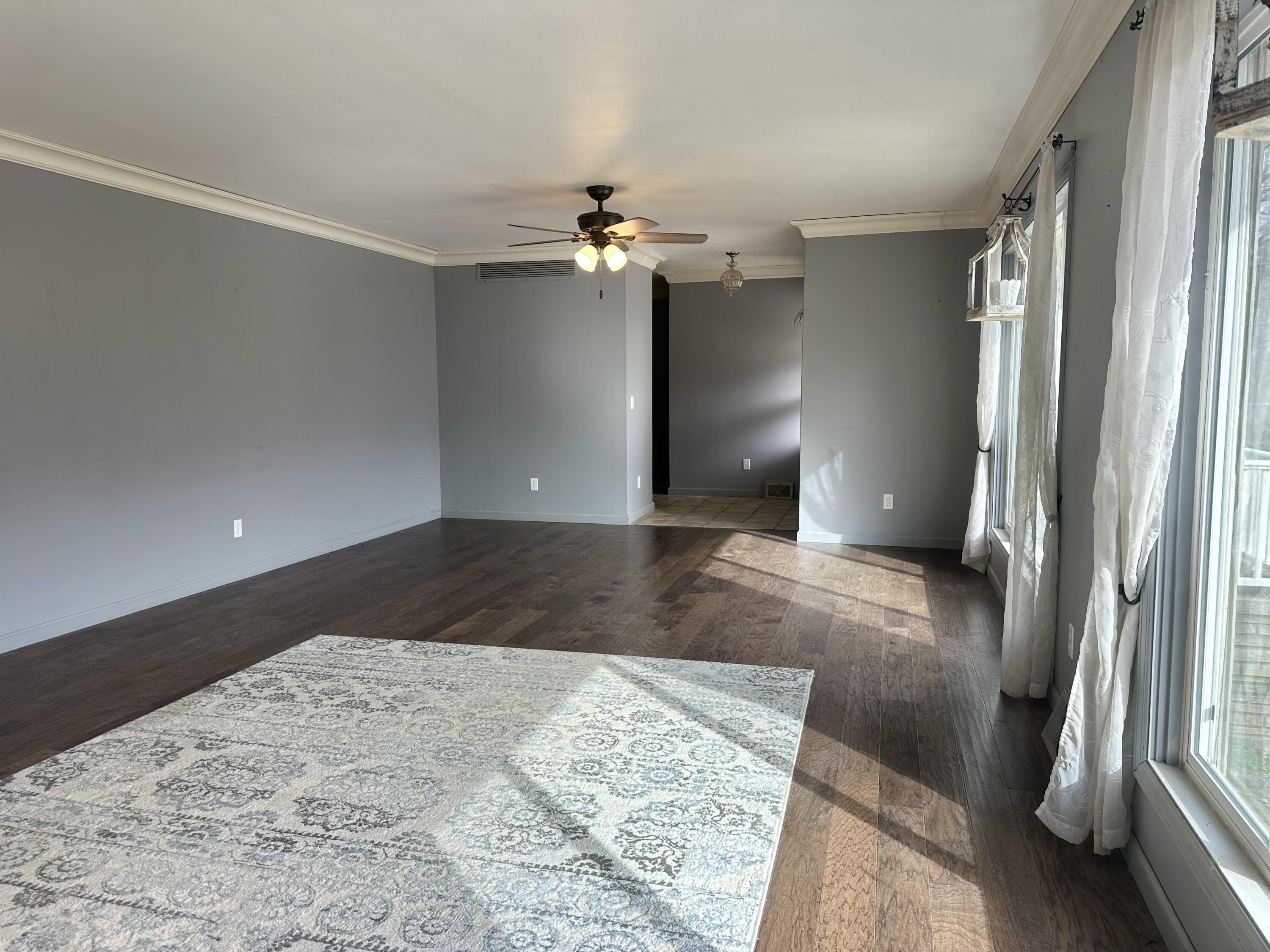 904 Race Street Property Photo 11